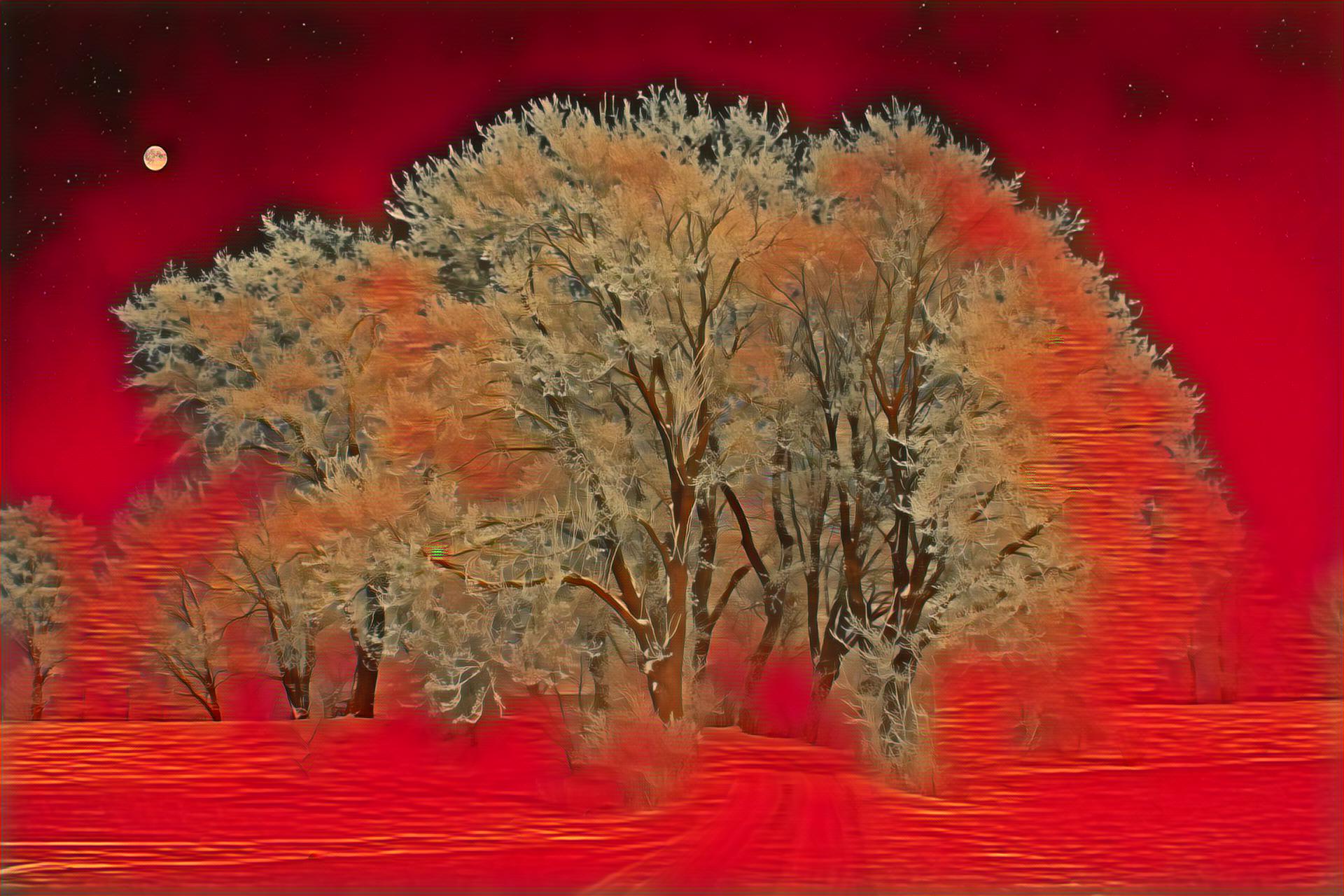 Select Dynamic field