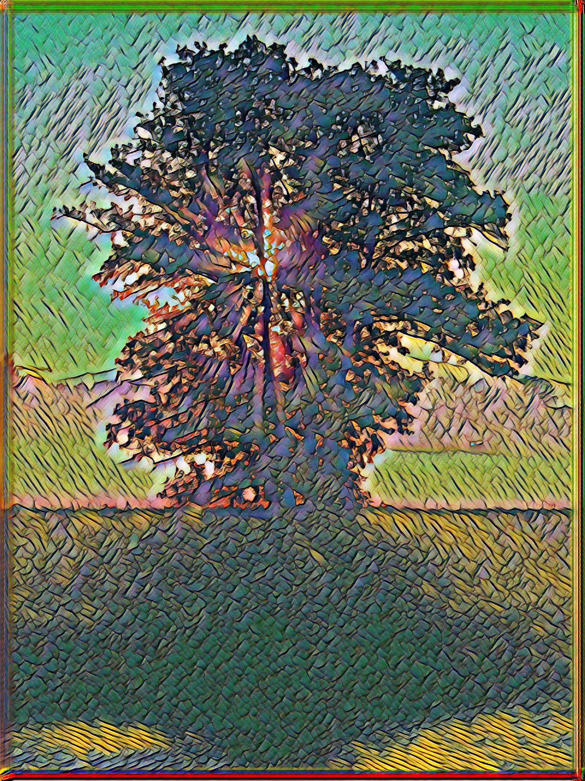 Select Dynamic field