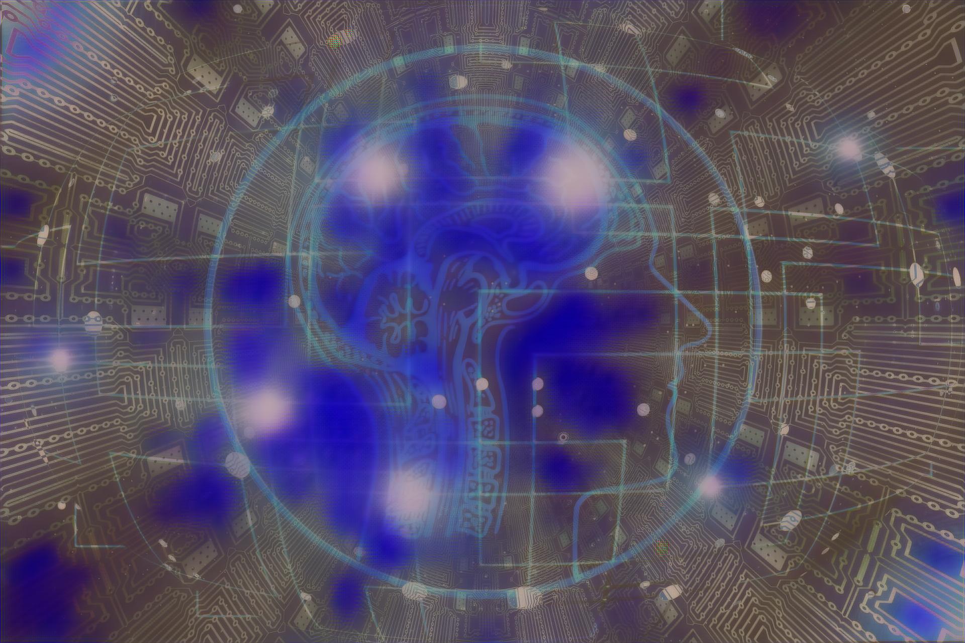 Select Dynamic field