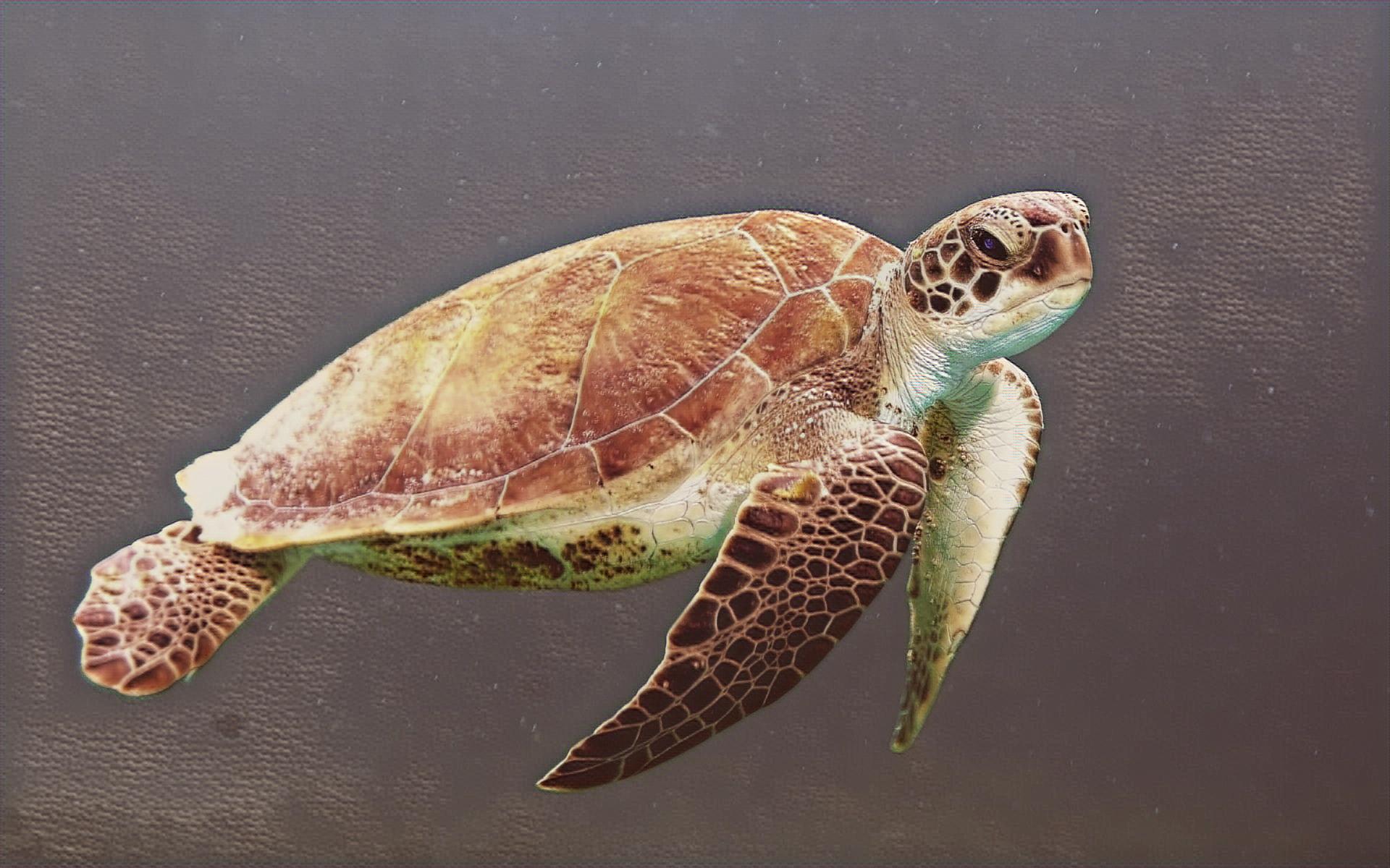 Select Dynamic field