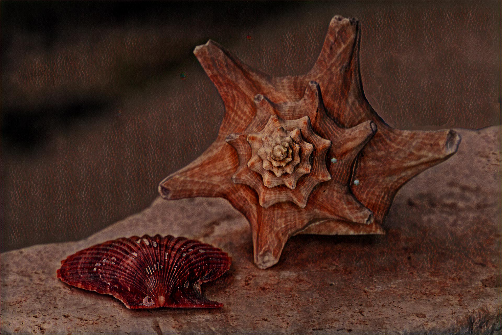 Select Dynamic field