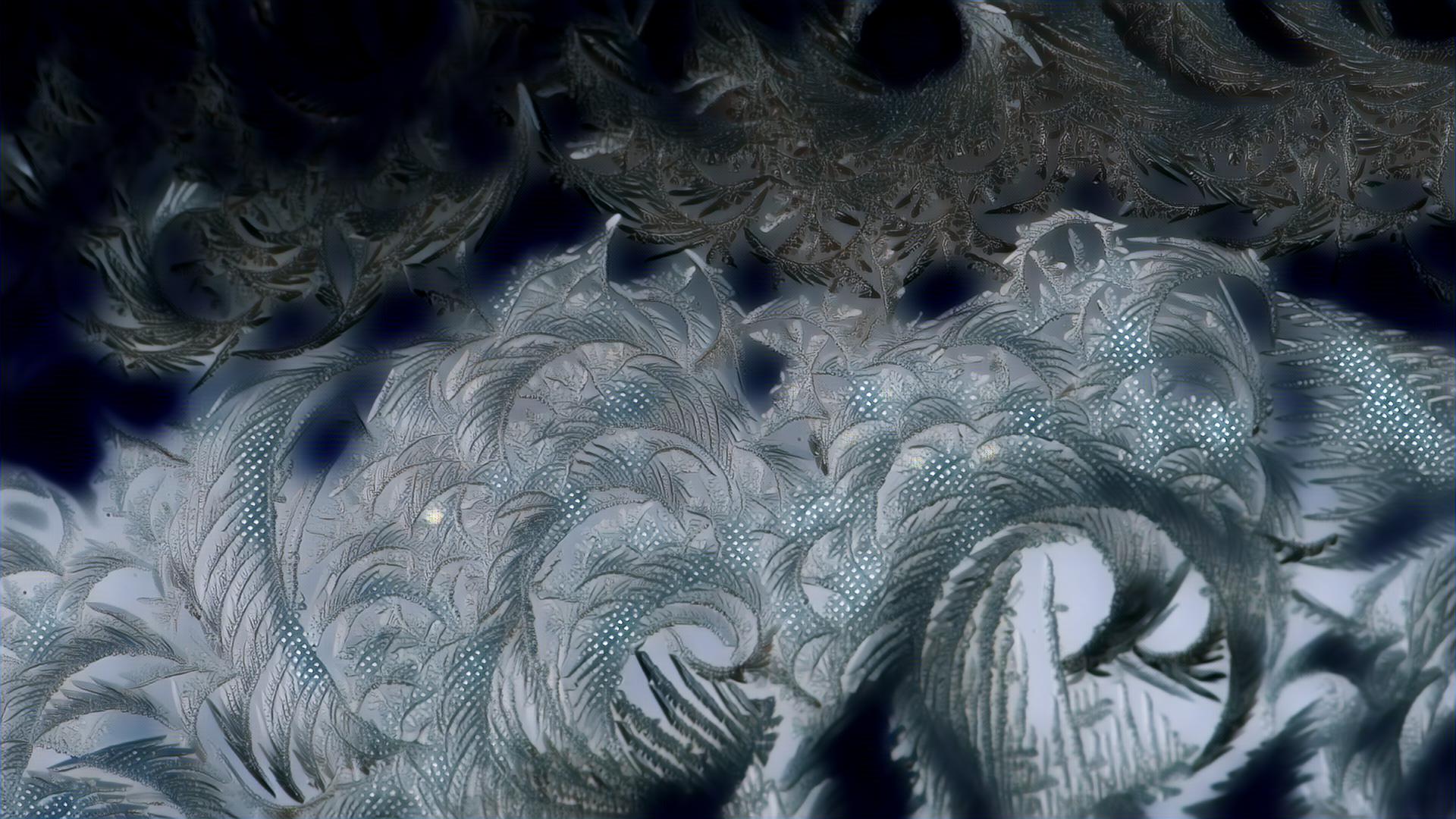 Placeholder Select Dynamic field