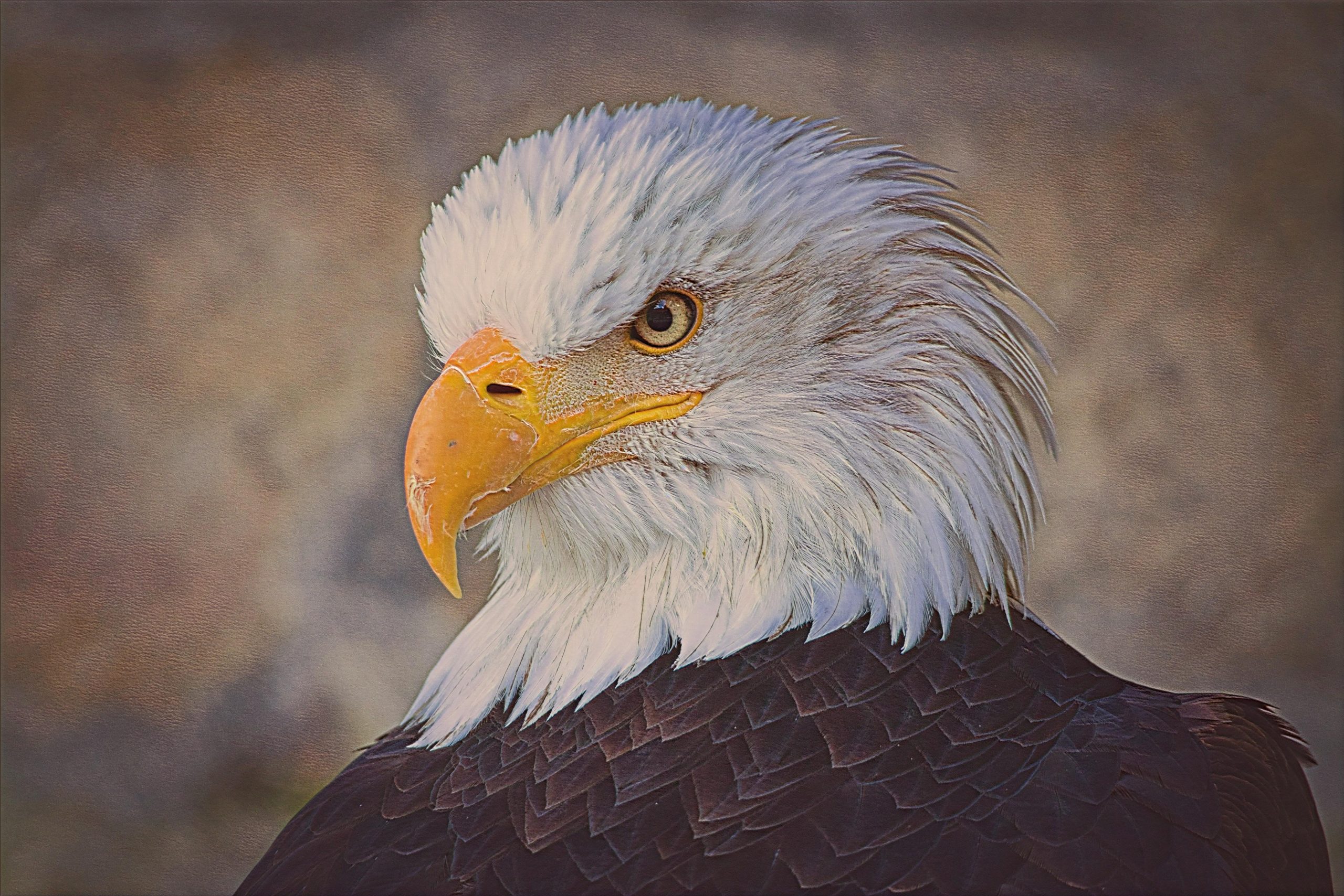 Select Dynamic field