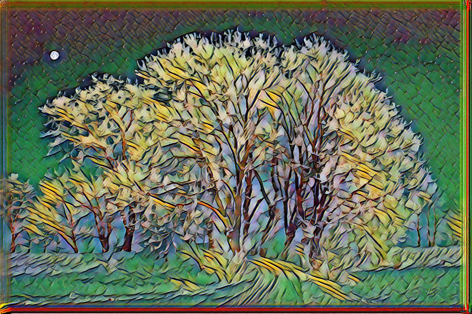 Select Dynamic field