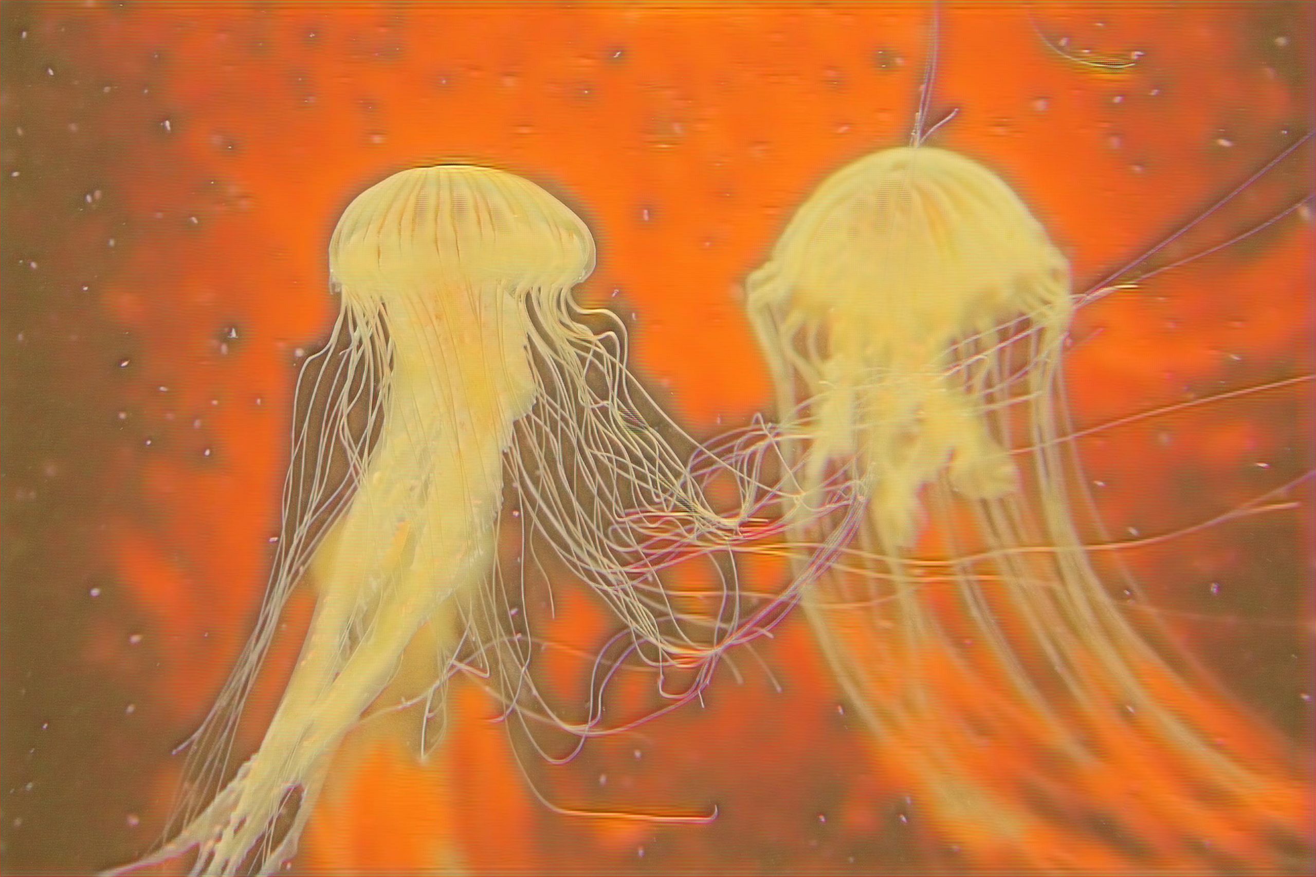 Select Dynamic field