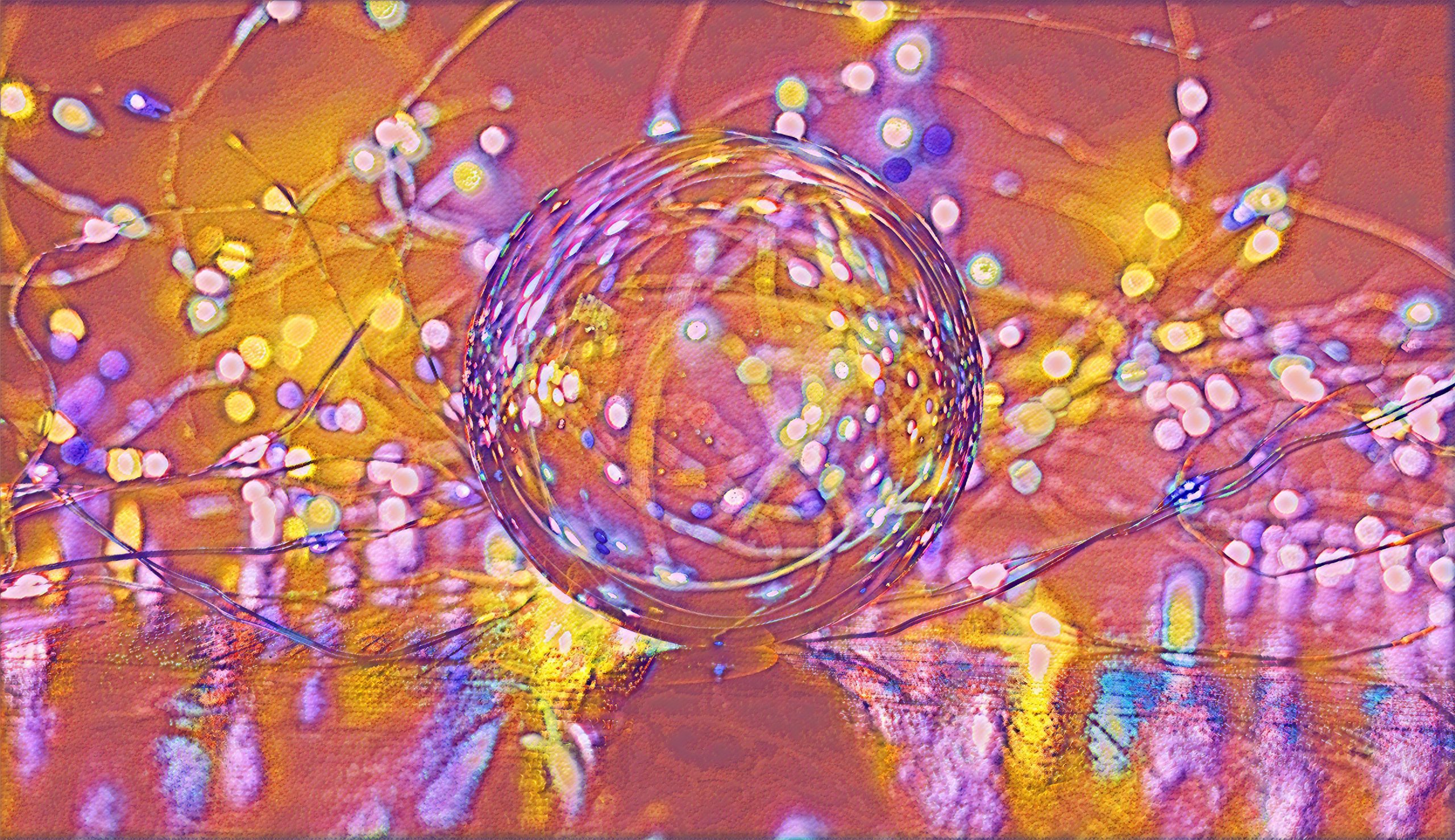 Select Dynamic field