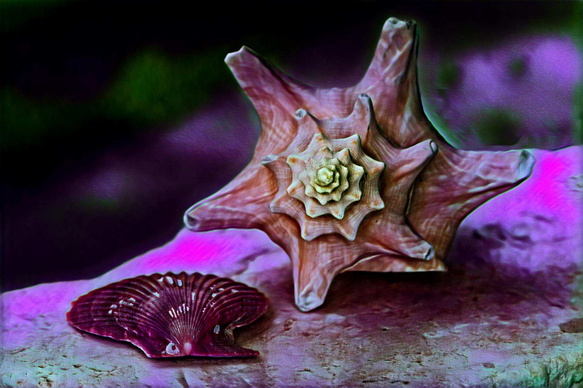 Select Dynamic field