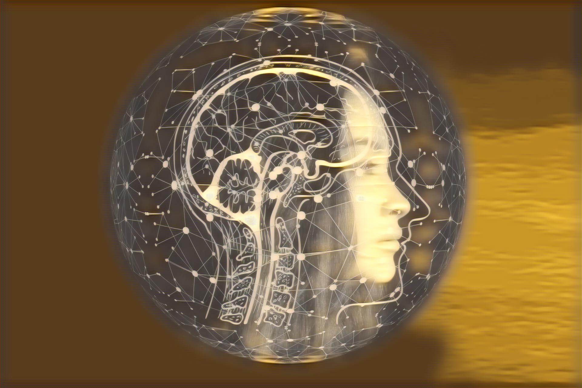 Select Dynamic field