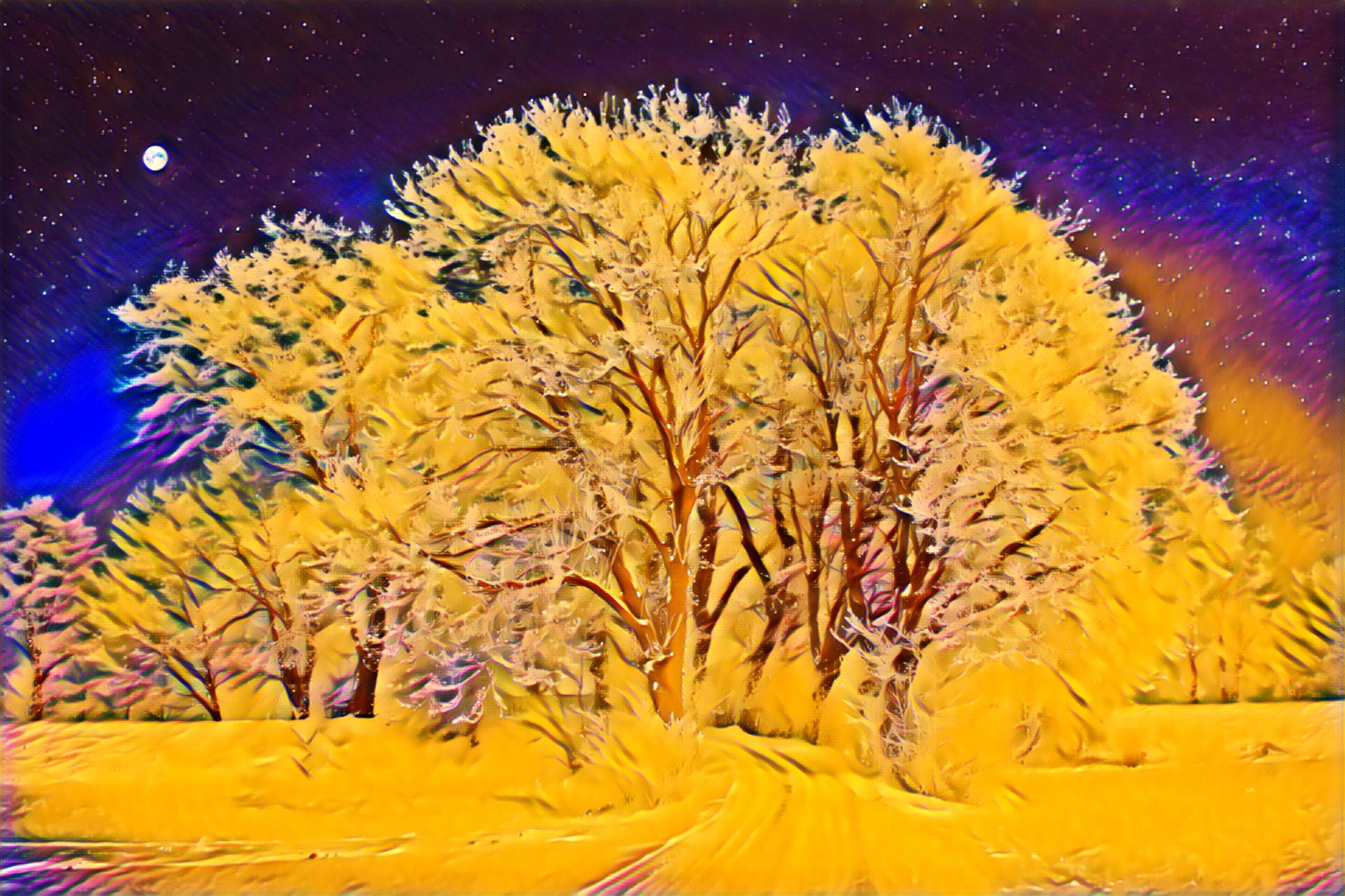 Placeholder Select Dynamic field