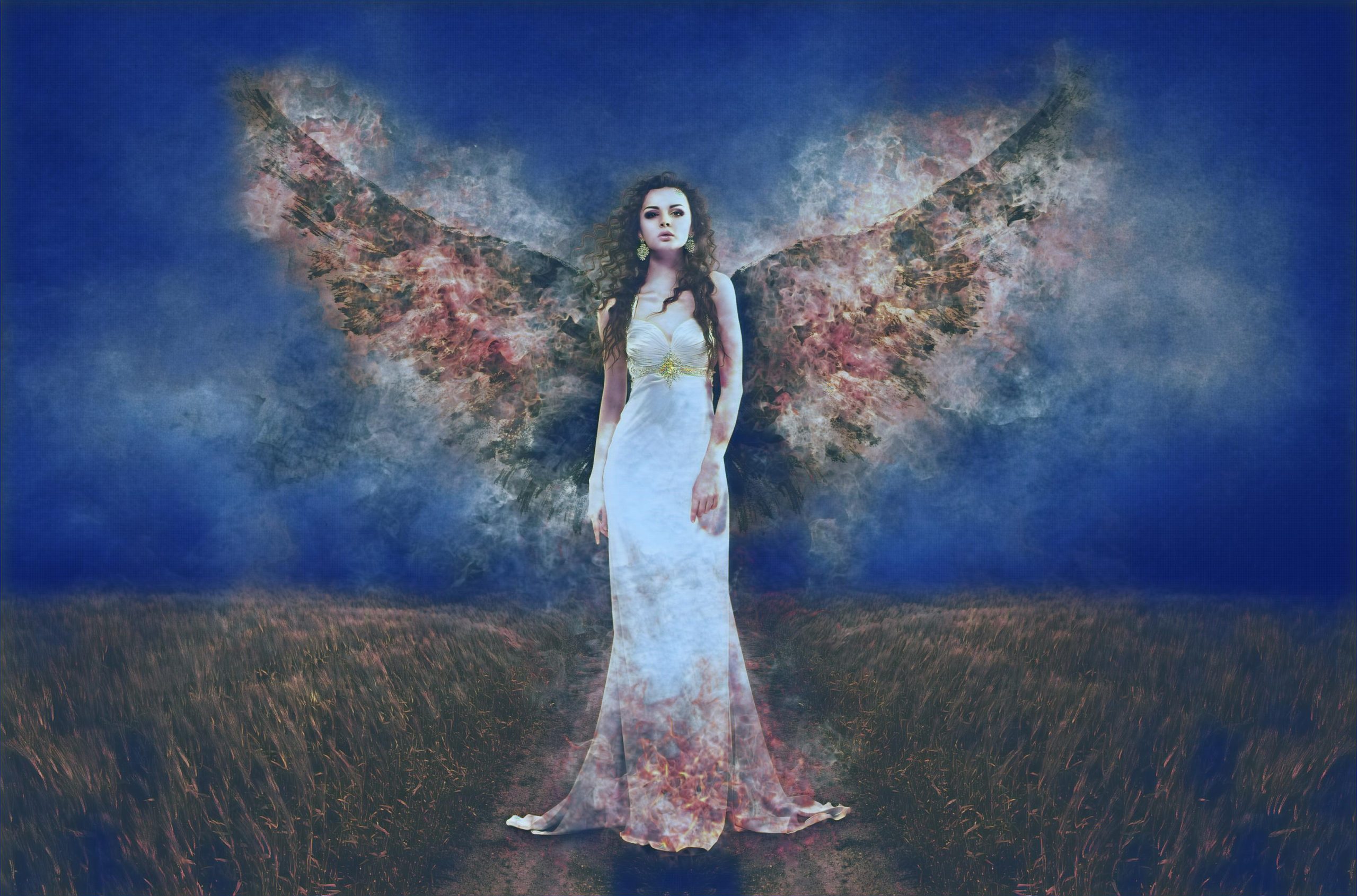 Select Dynamic field