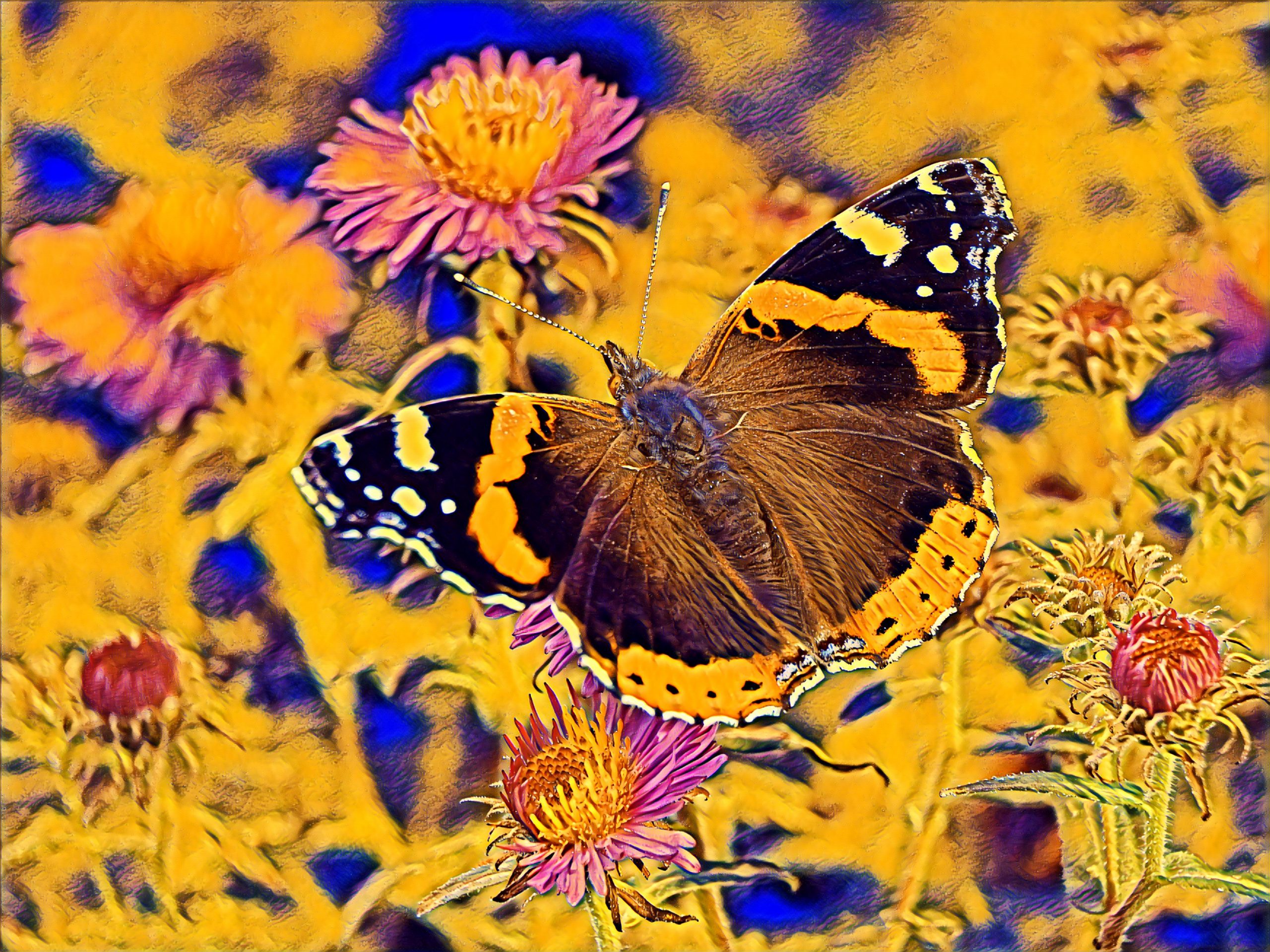 Placeholder Select Dynamic field