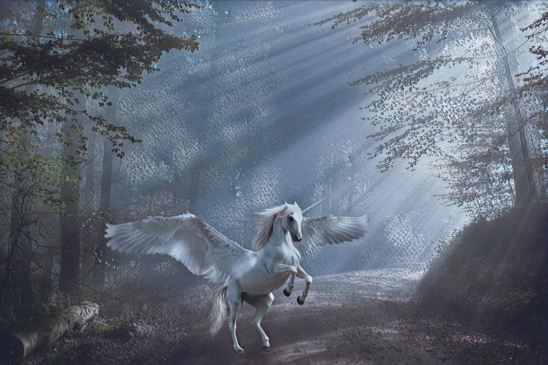 Placeholder Select Dynamic field