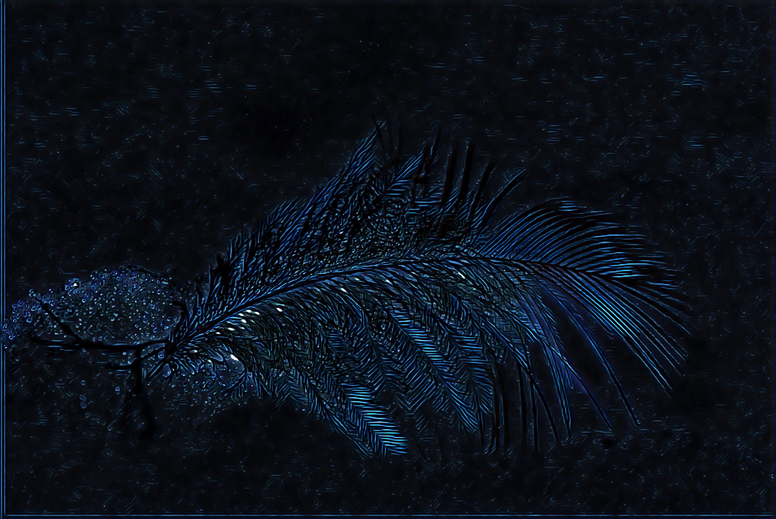 Select Dynamic field