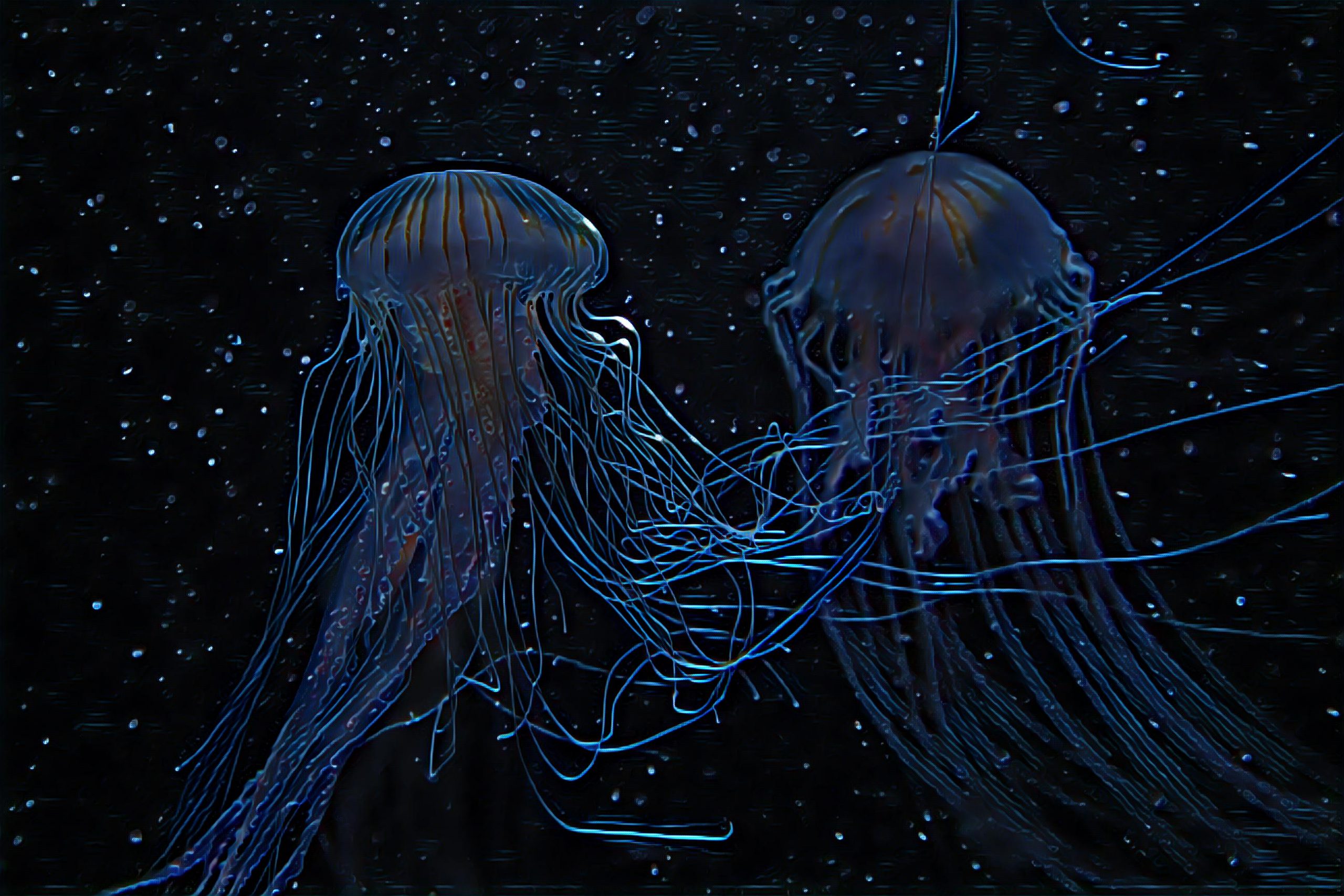 Placeholder Select Dynamic field