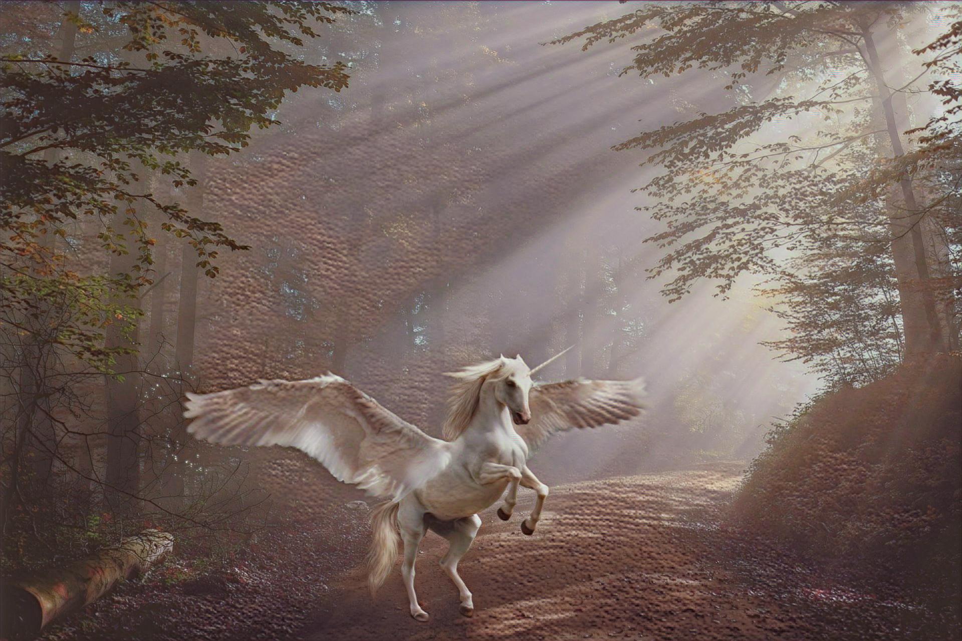 Select Dynamic field