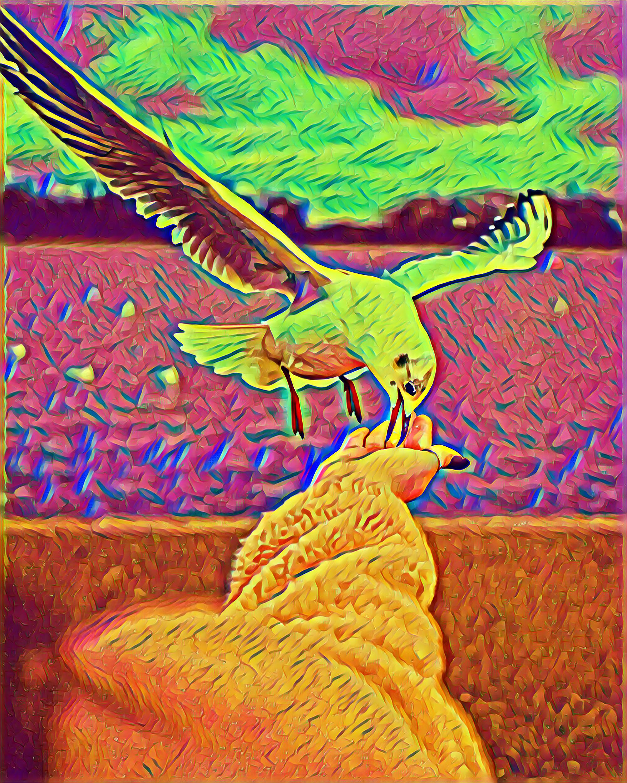 Placeholder Select Dynamic field