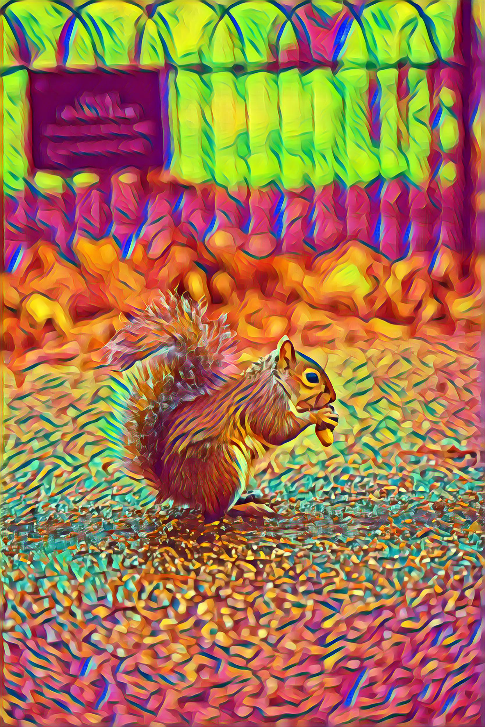 Select Dynamic field