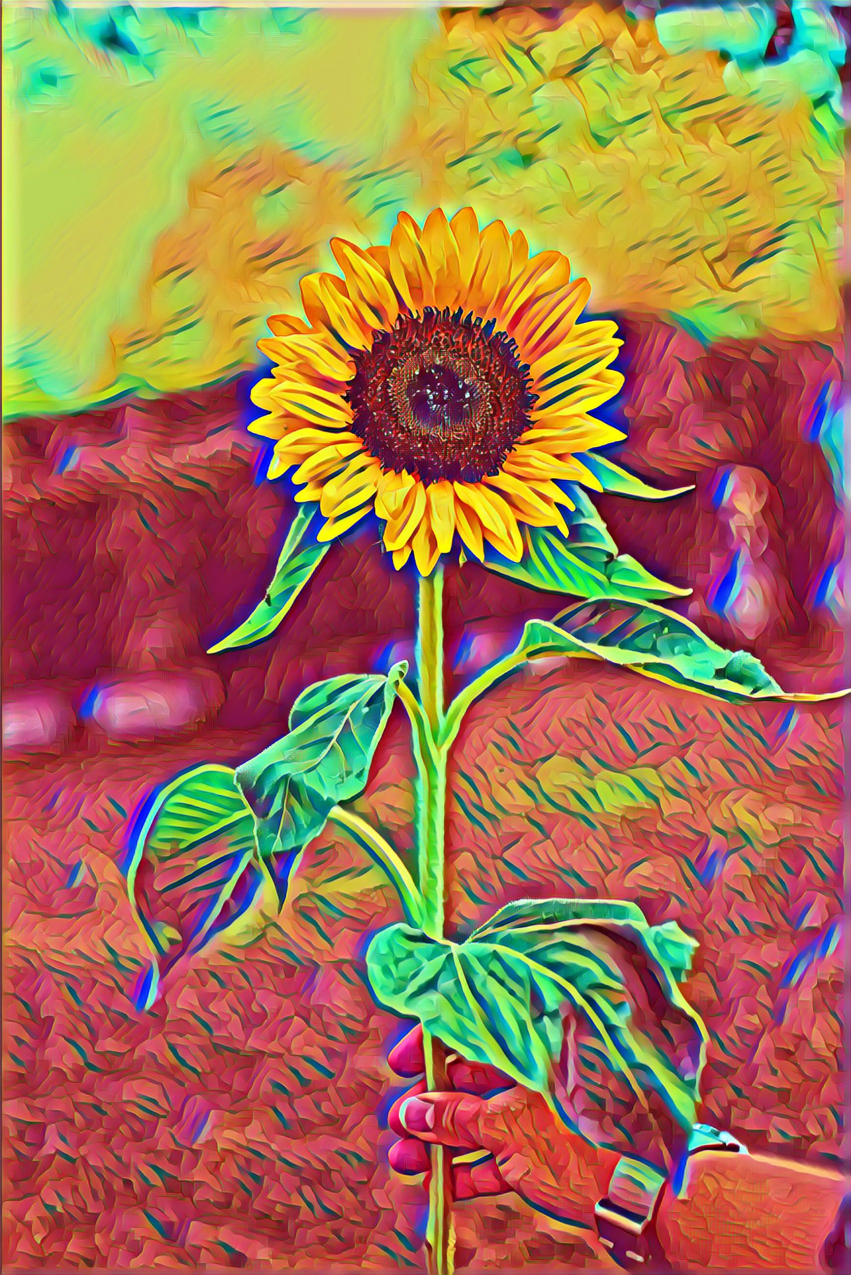 Select Dynamic field