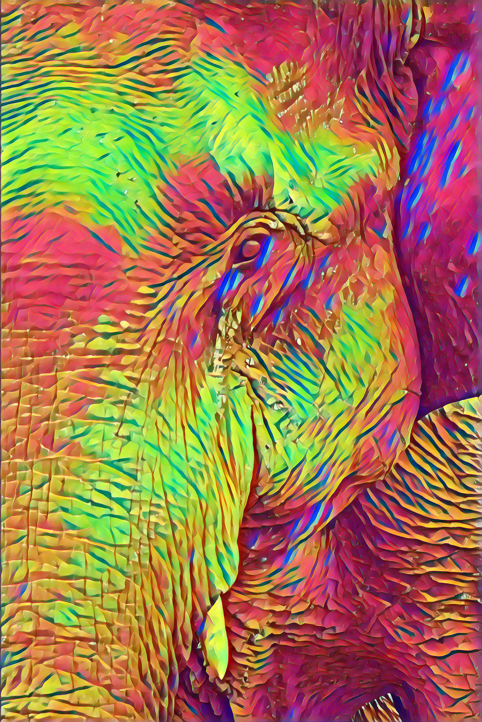 Placeholder Select Dynamic field