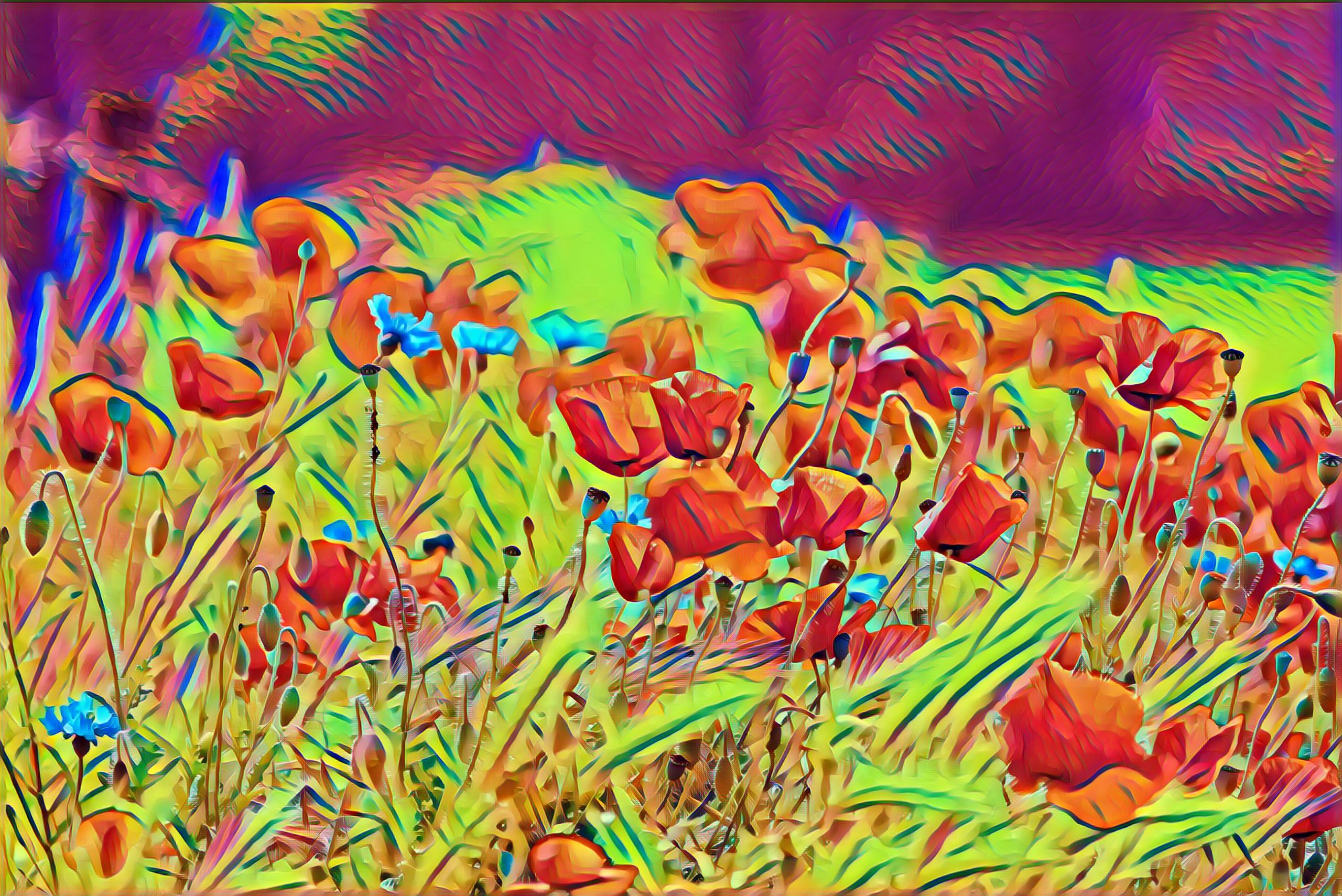 Placeholder Select Dynamic field