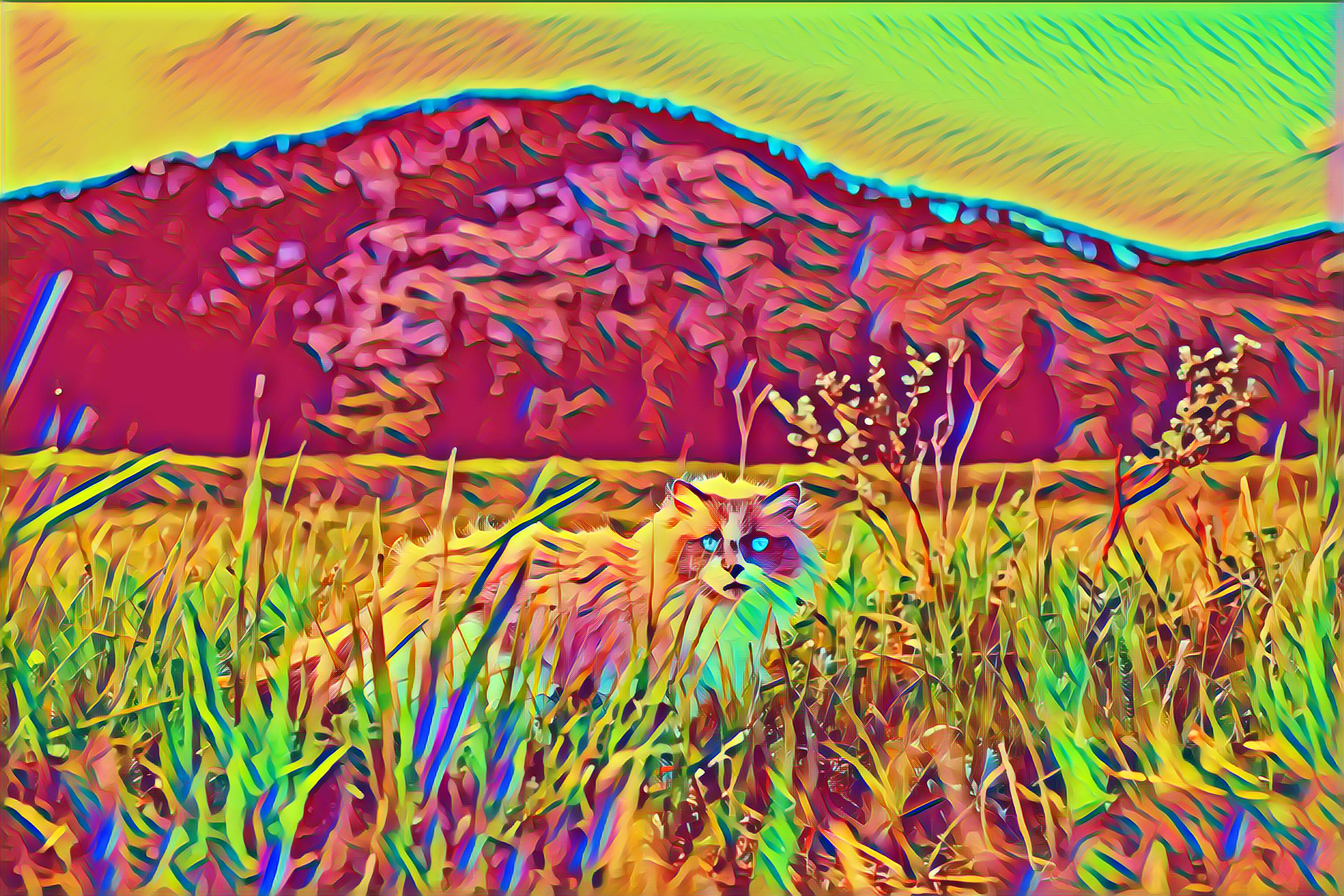 Select Dynamic field