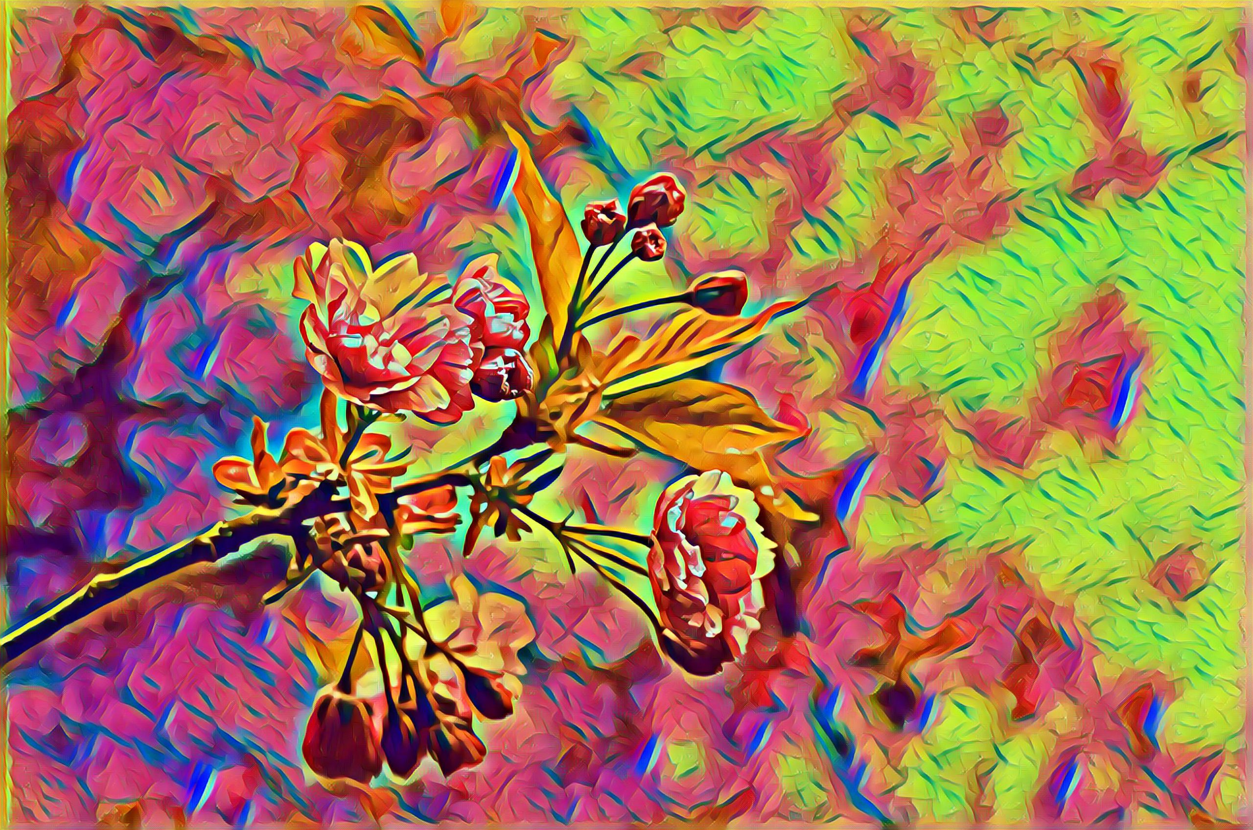 Placeholder Select Dynamic field