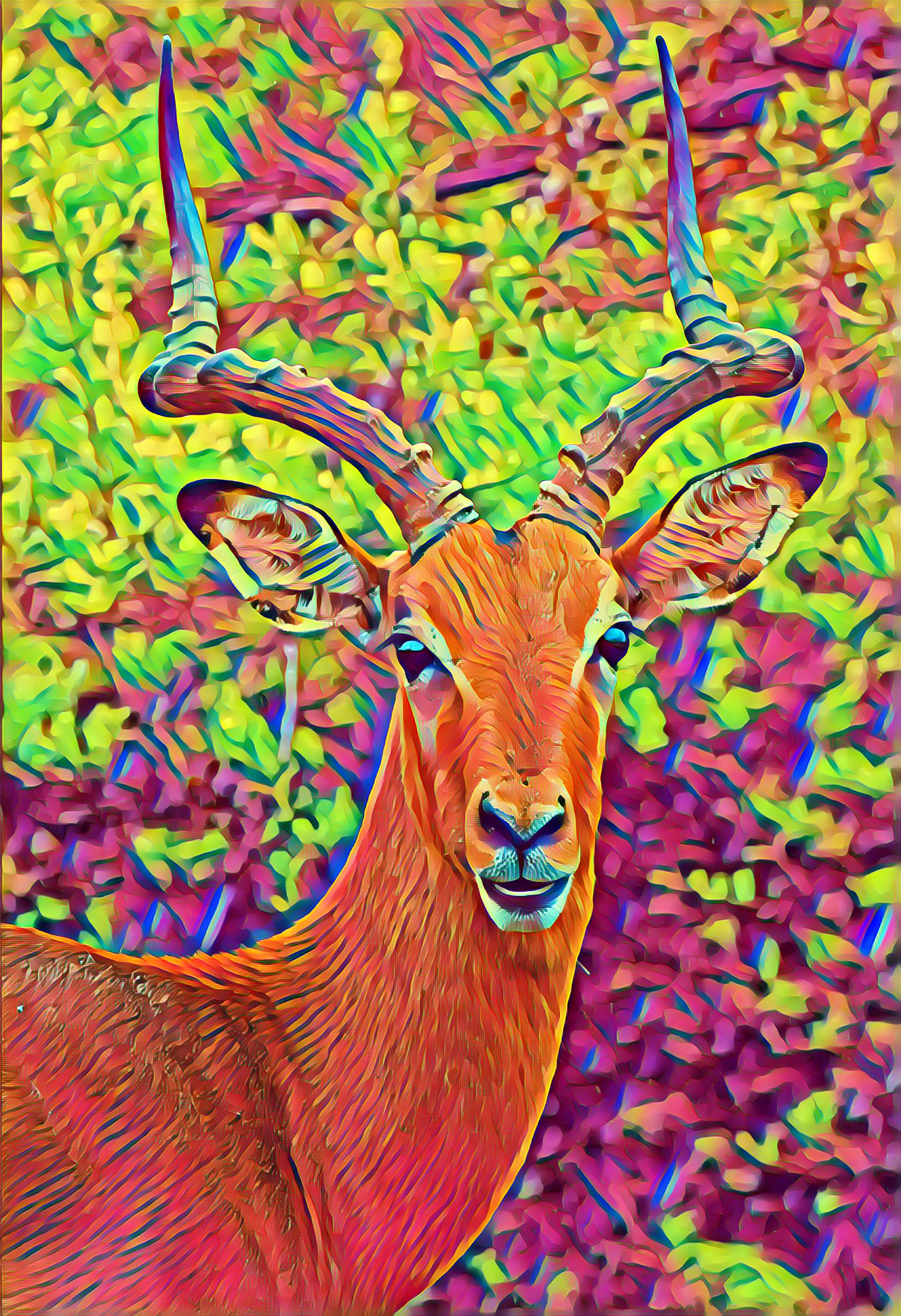 Placeholder Select Dynamic field