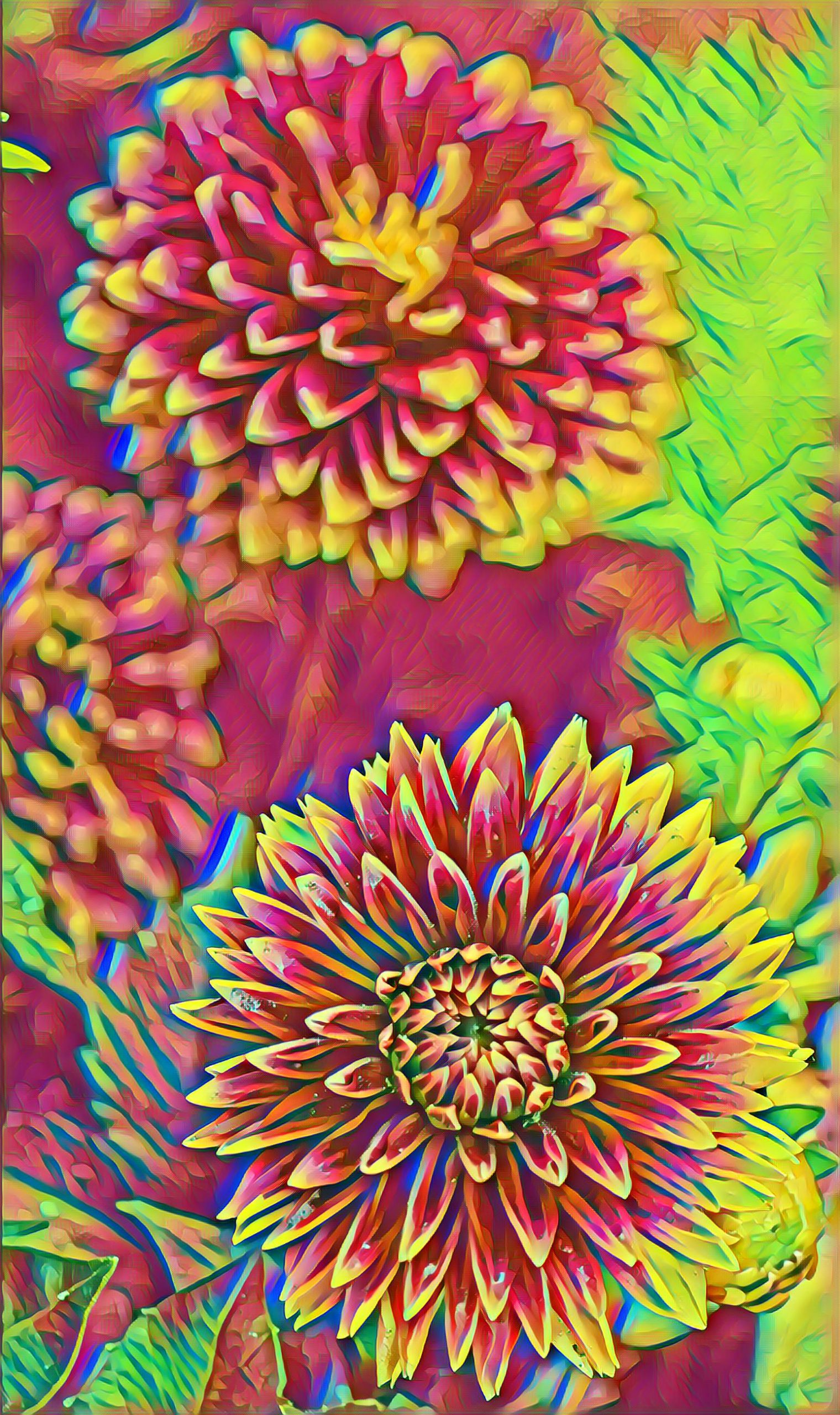 Select Dynamic field