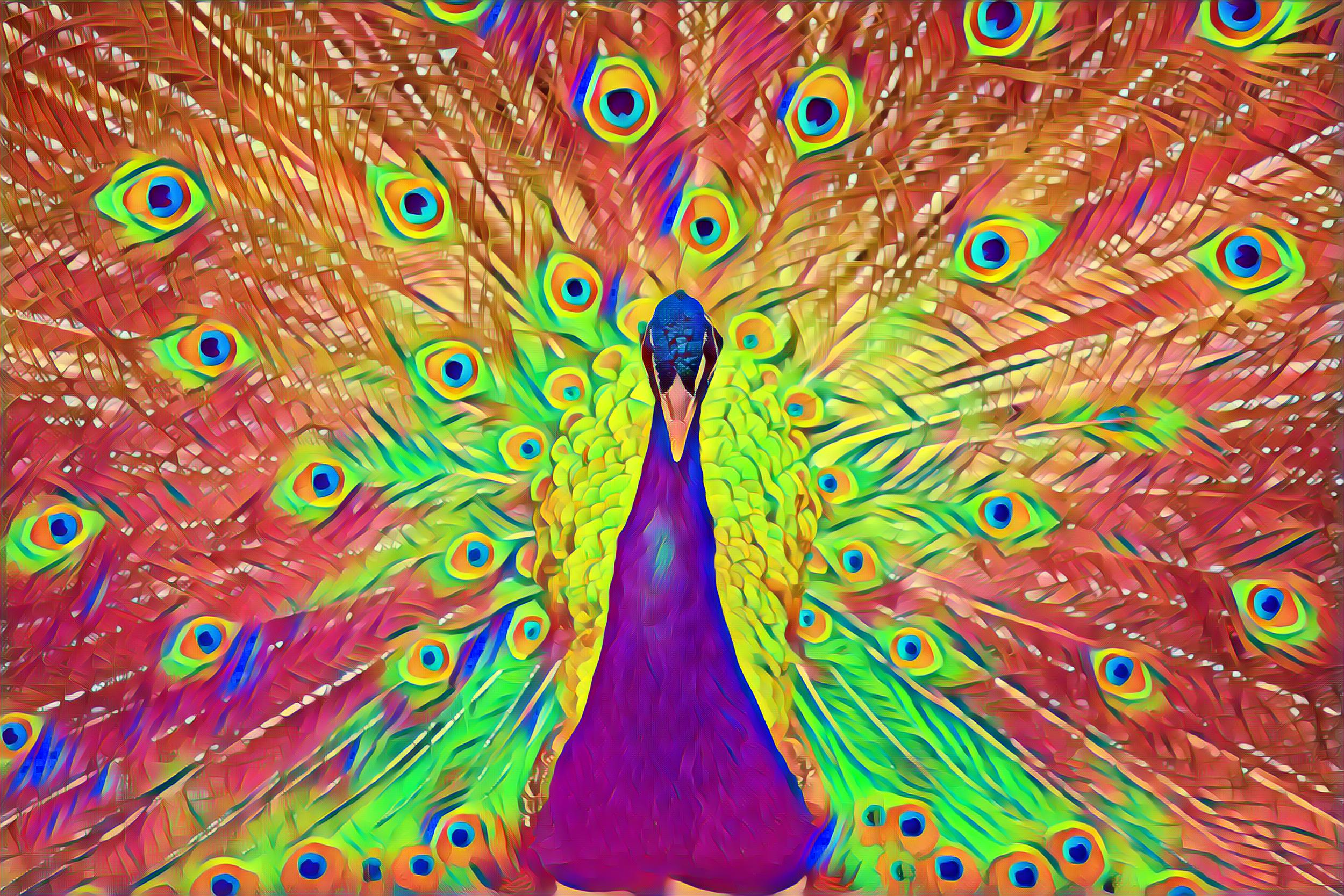 Select Dynamic field