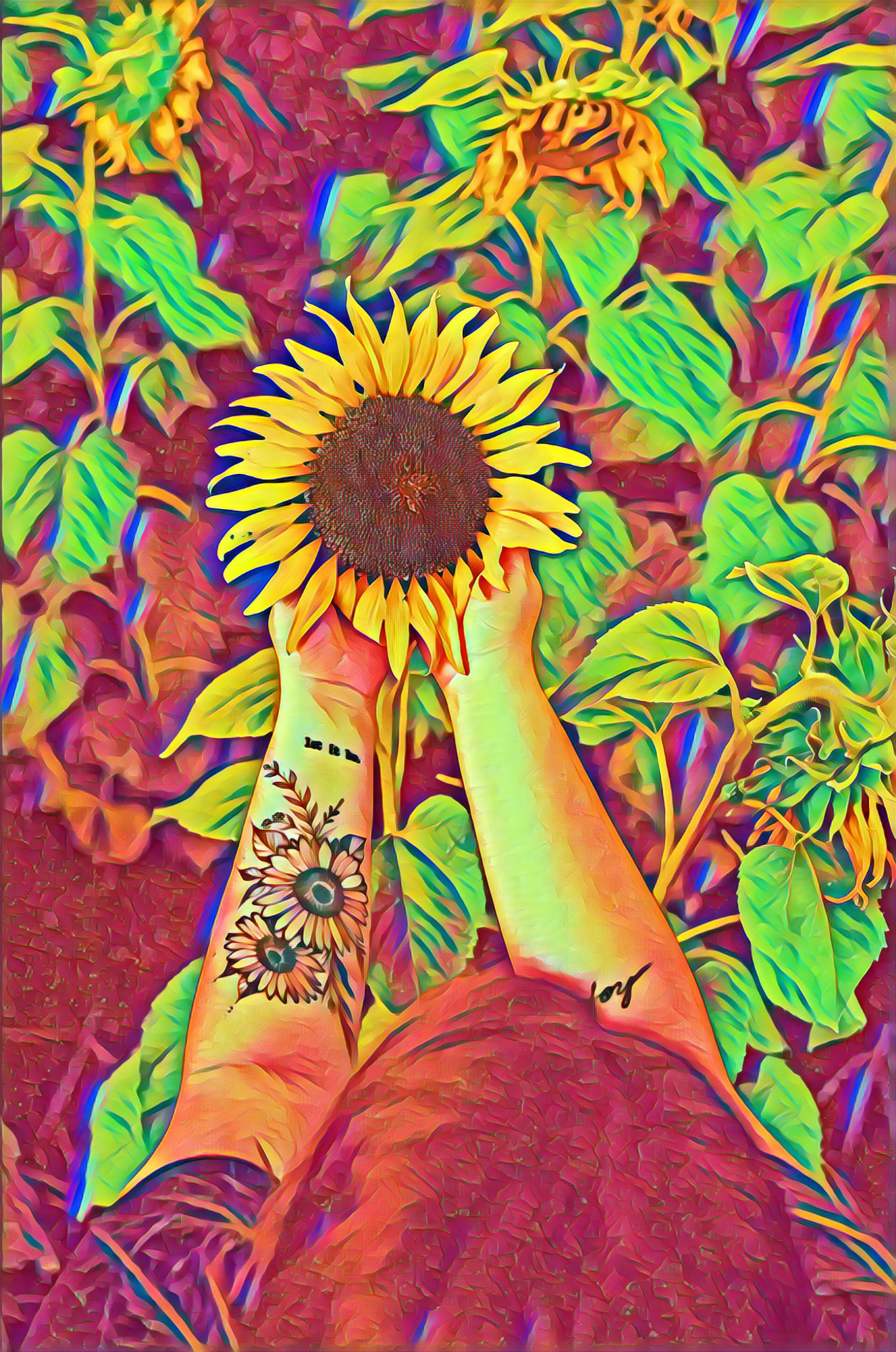 Select Dynamic field