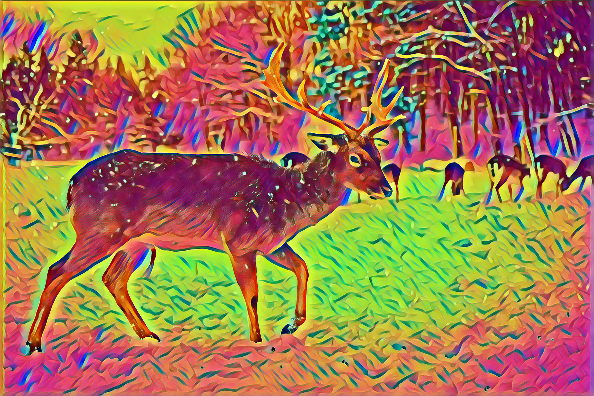 Placeholder Select Dynamic field