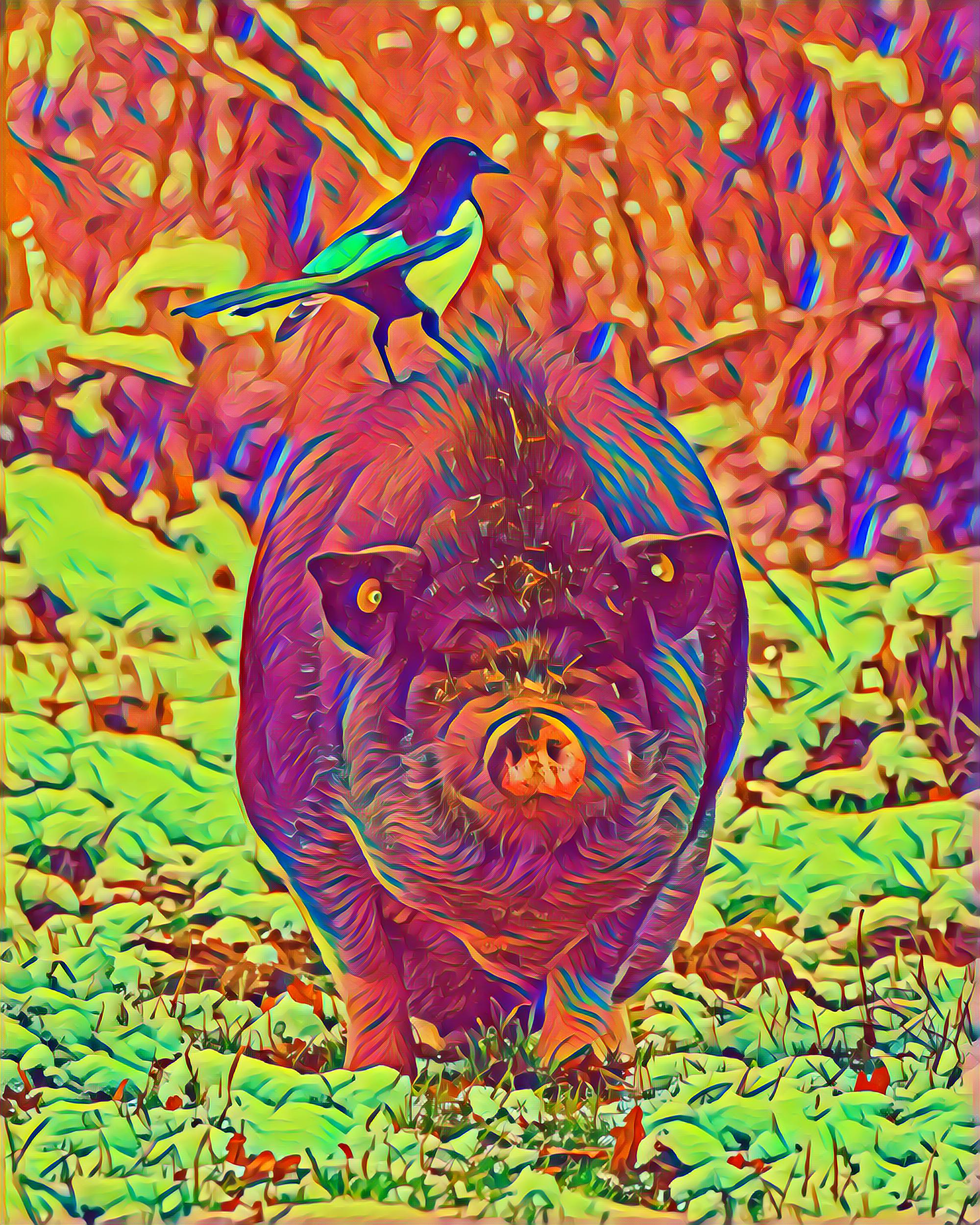 Select Dynamic field