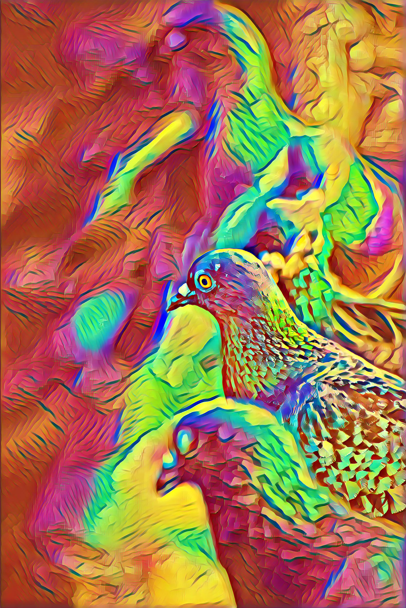 Select Dynamic field