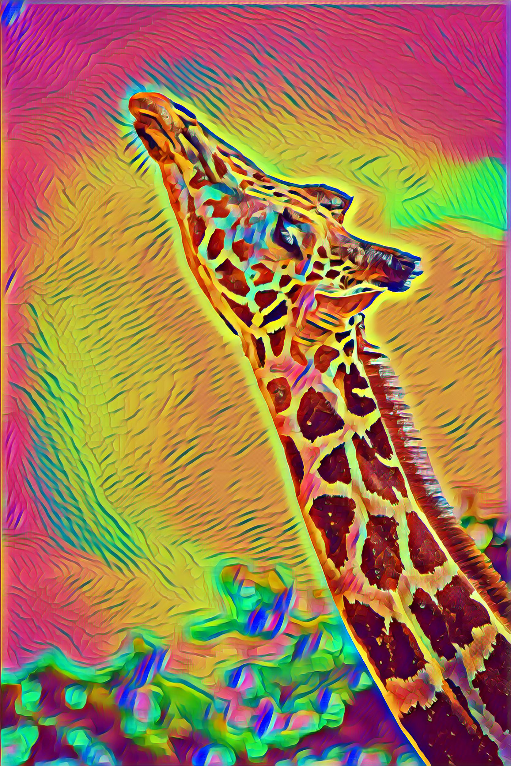 Placeholder Select Dynamic field