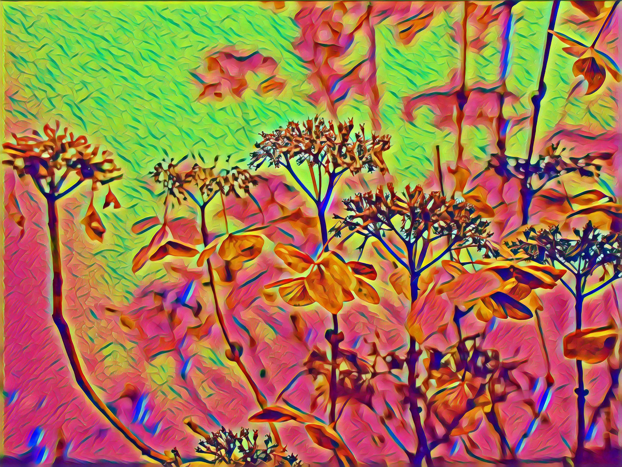 Placeholder Select Dynamic field