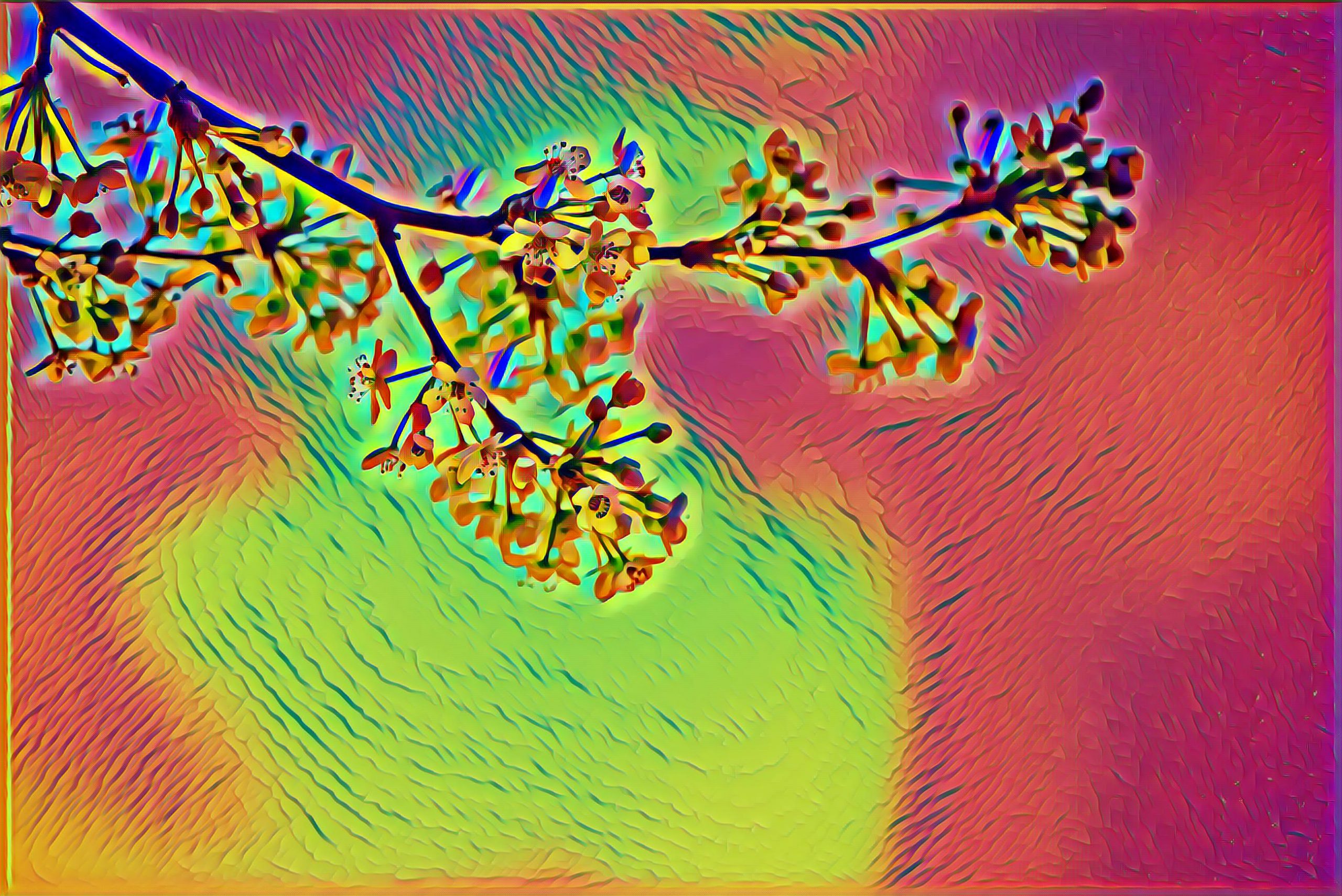 Select Dynamic field