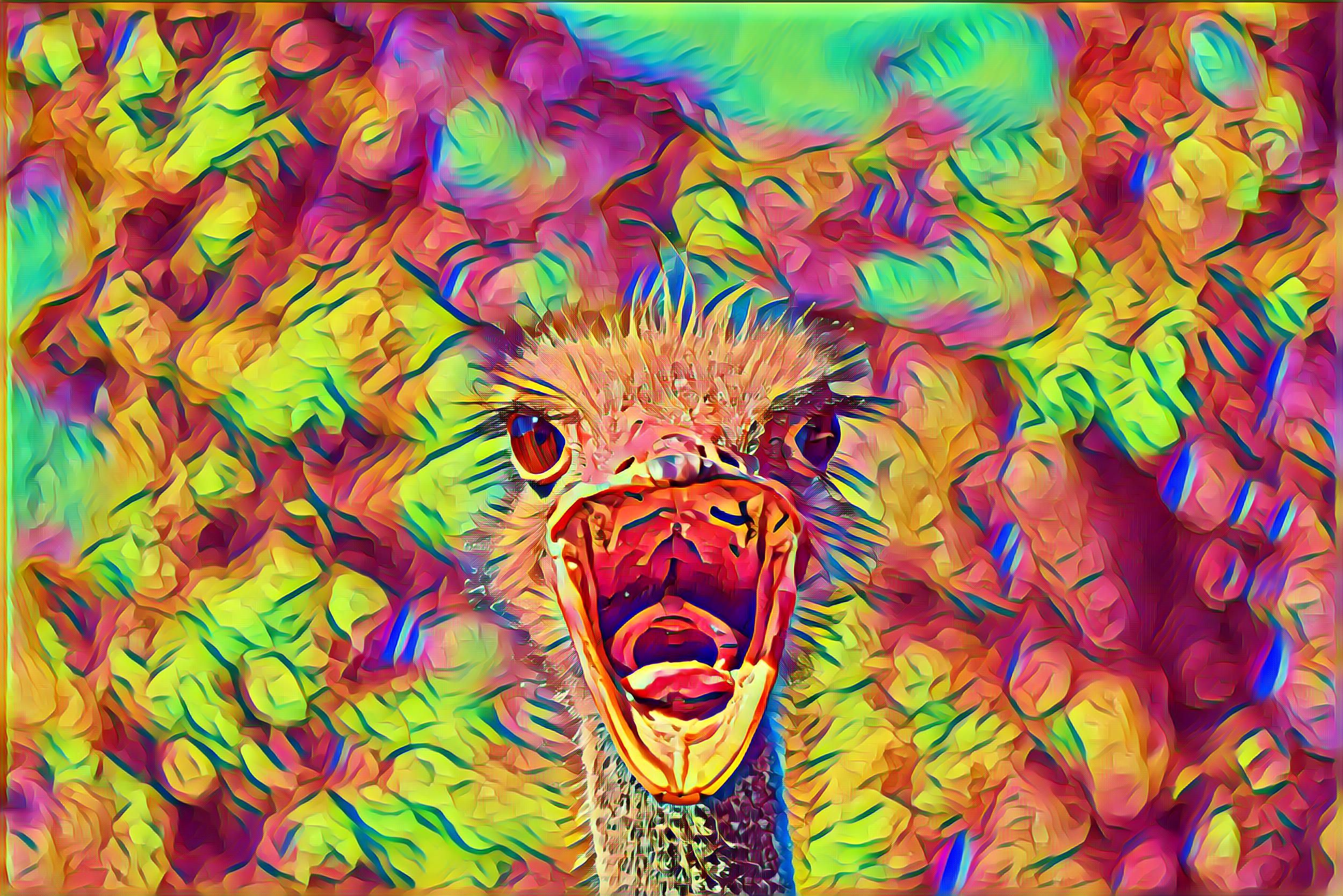 Select Dynamic field