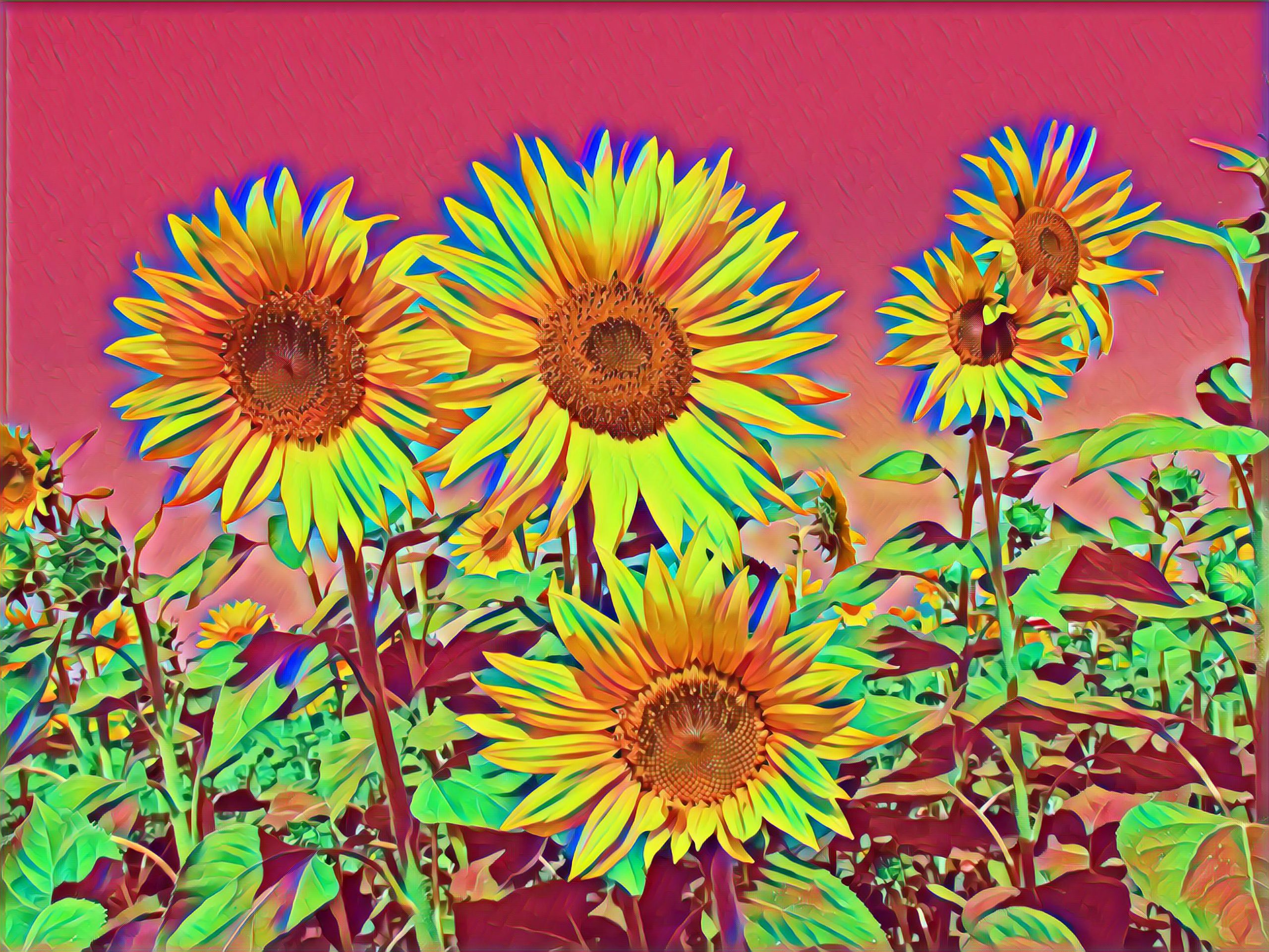 Placeholder Select Dynamic field