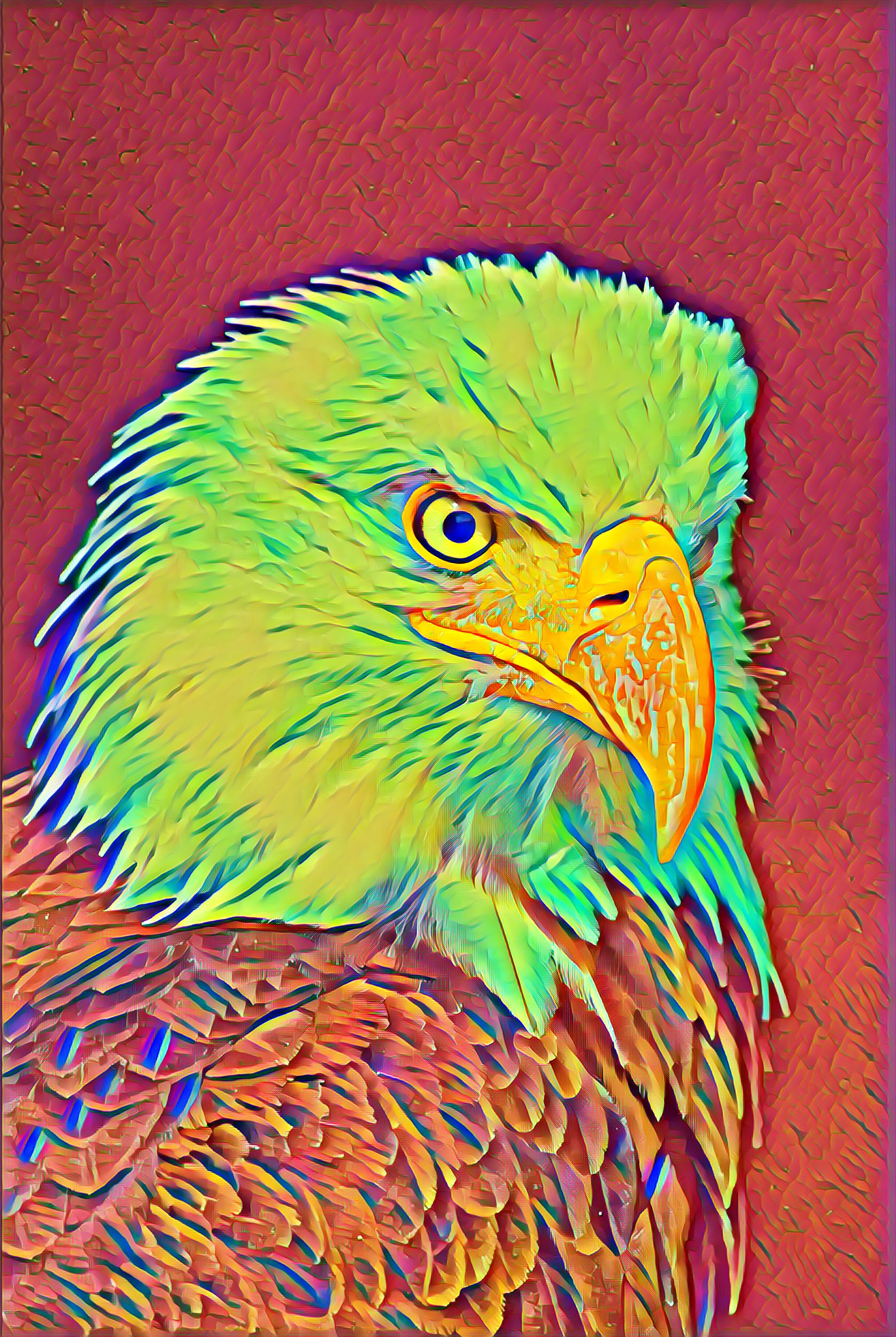 Select Dynamic field
