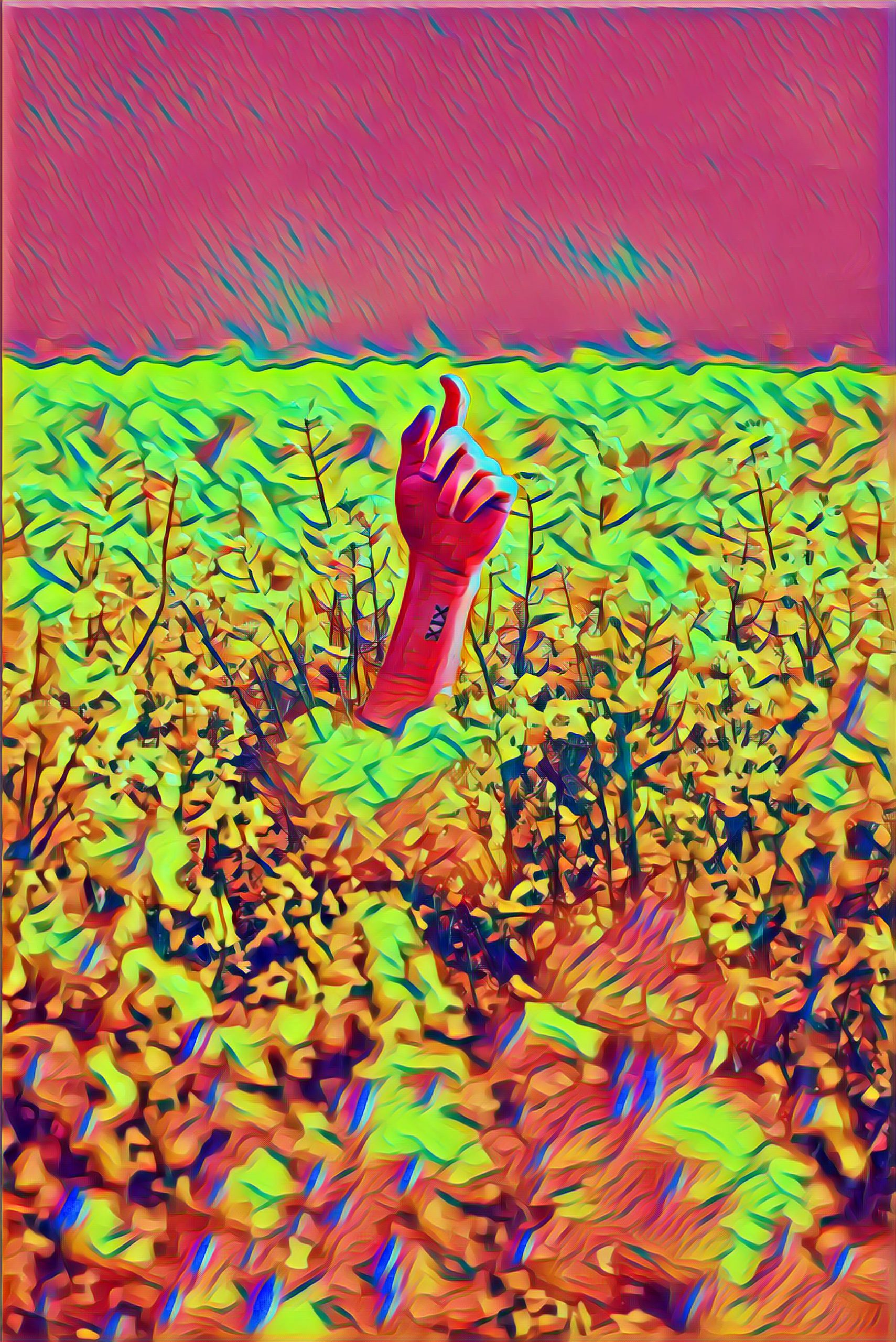 Placeholder Select Dynamic field