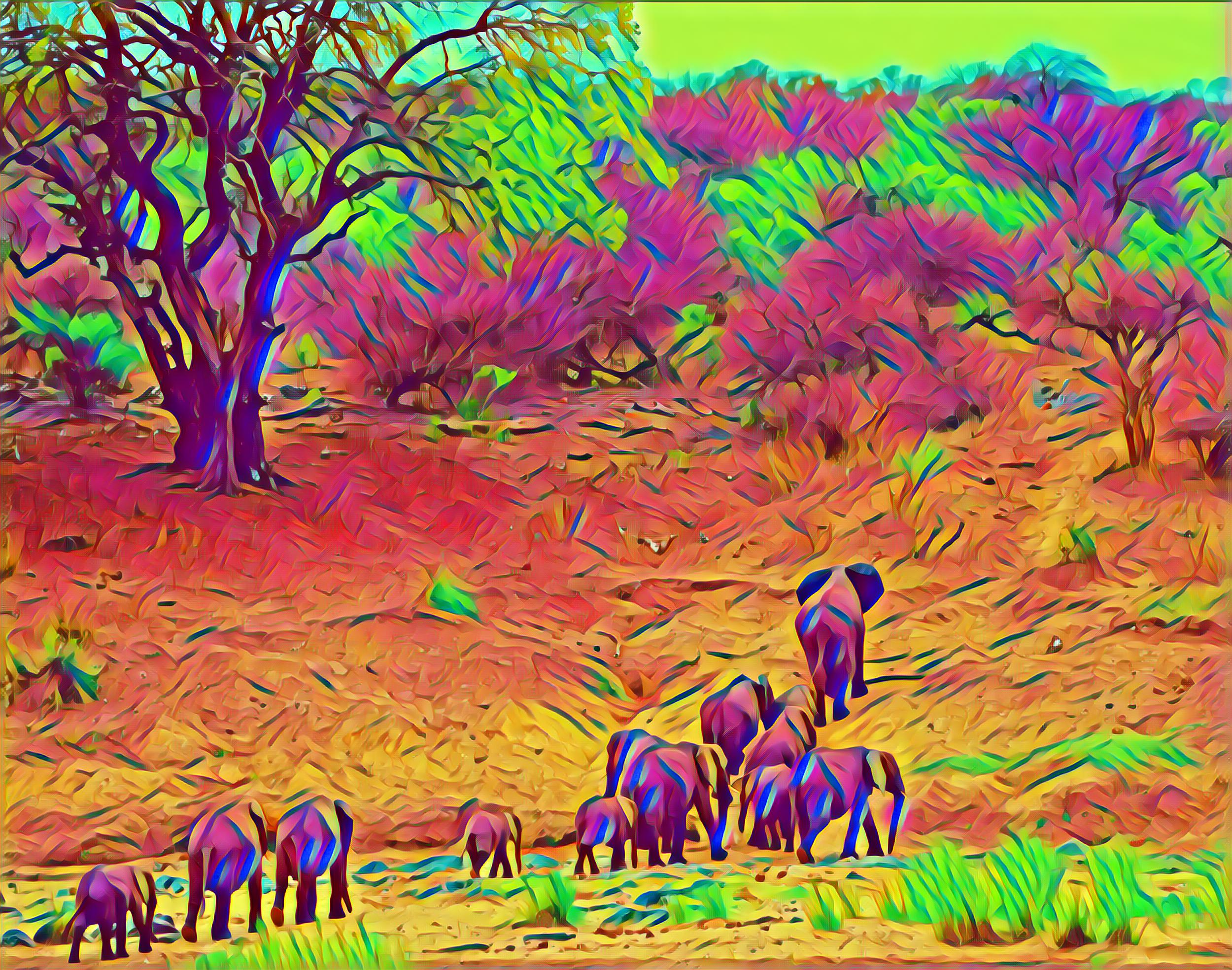 Placeholder Select Dynamic field