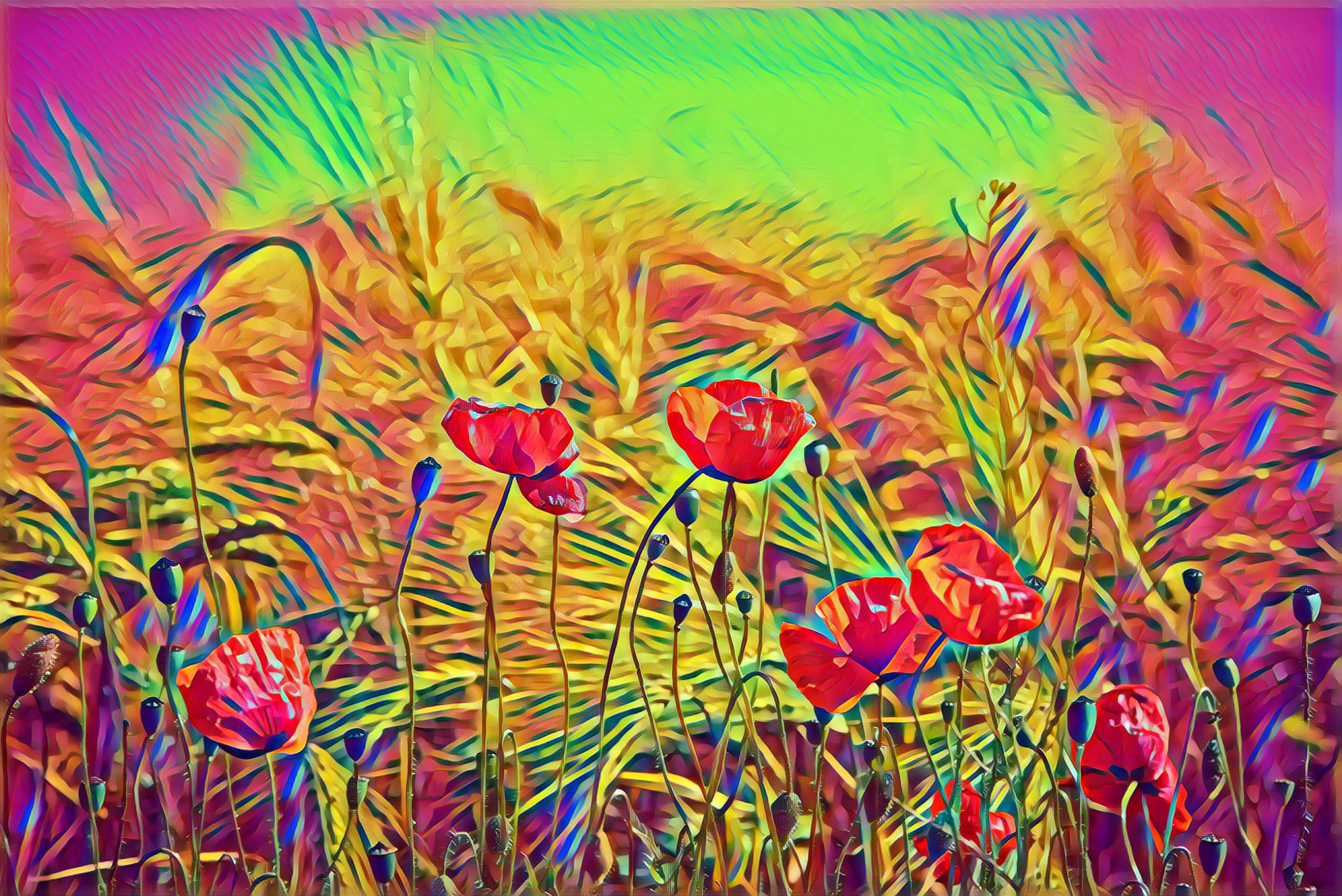 Select Dynamic field