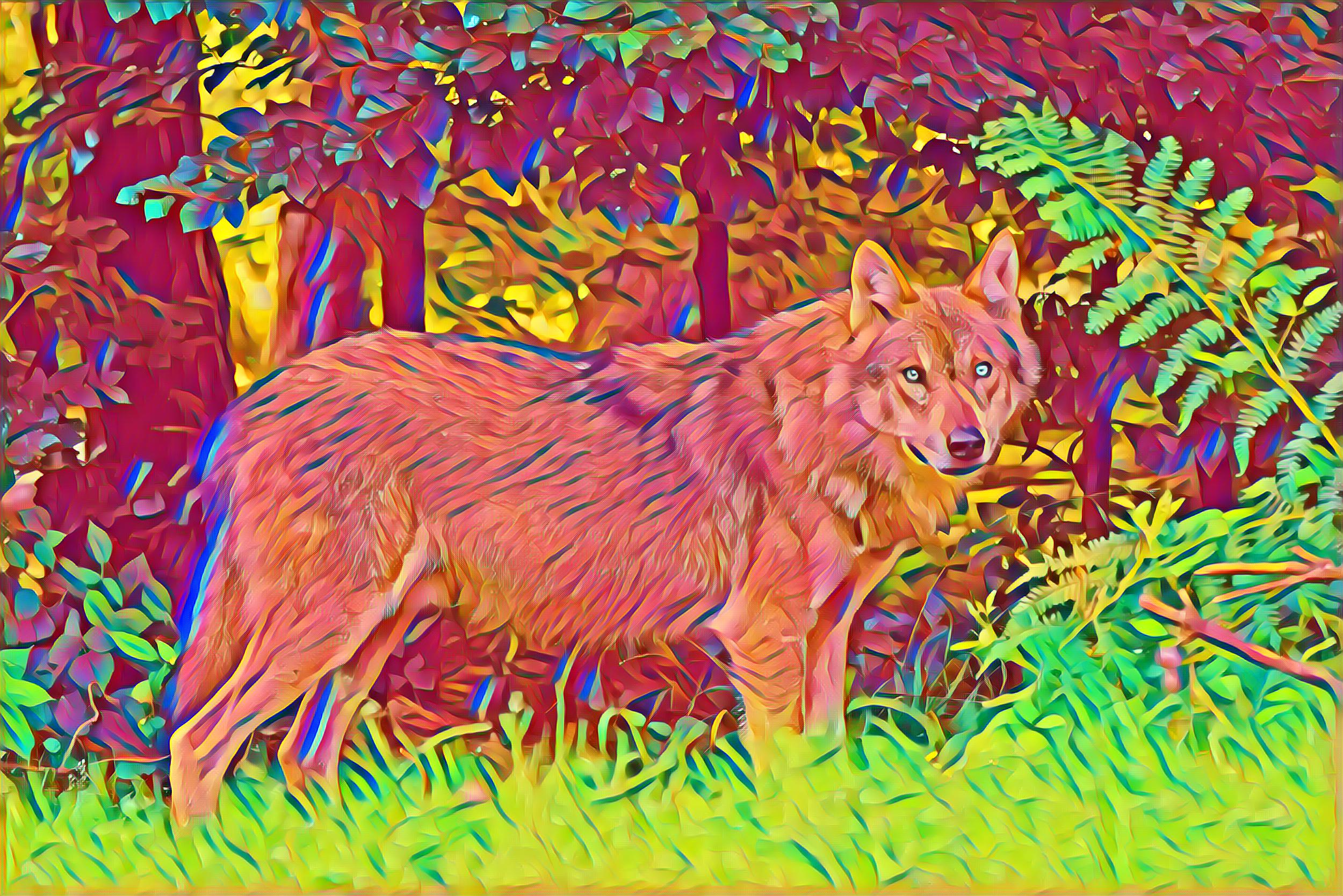 Placeholder Select Dynamic field