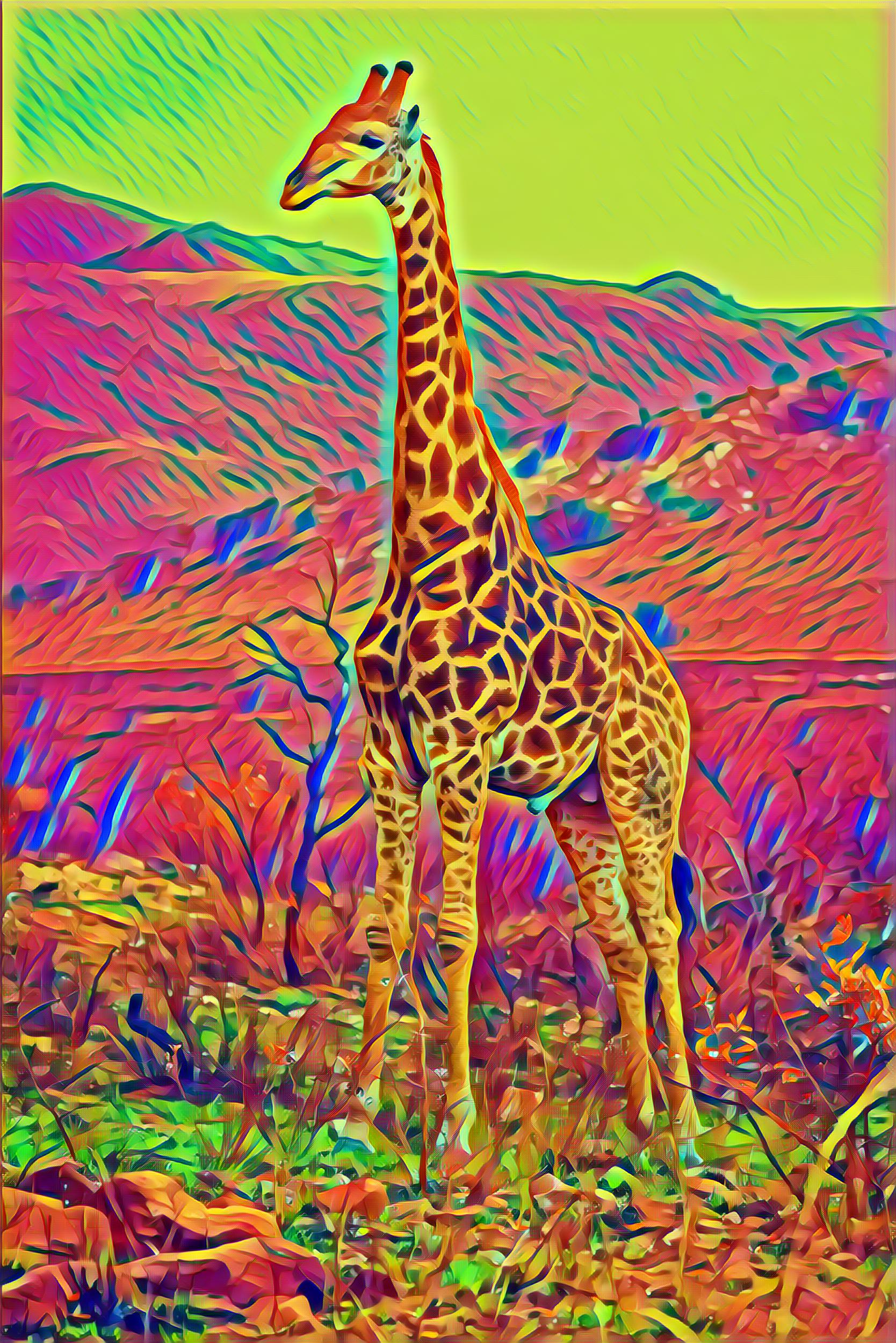 Select Dynamic field