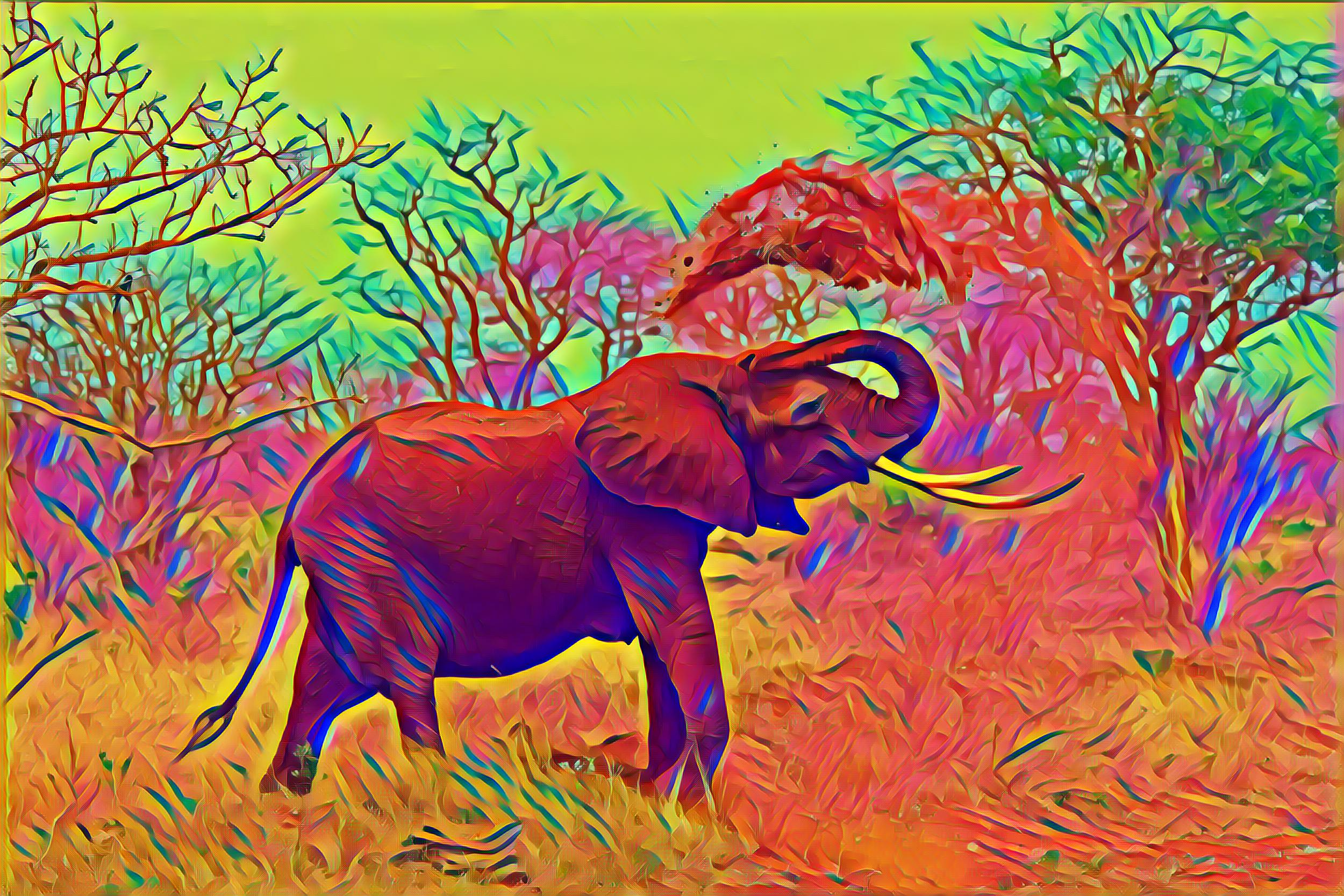 Placeholder Select Dynamic field