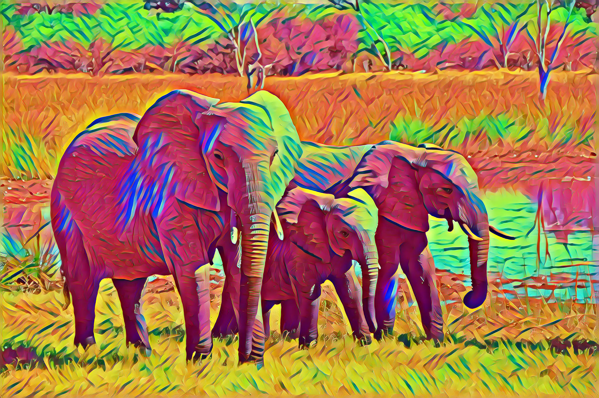 Select Dynamic field