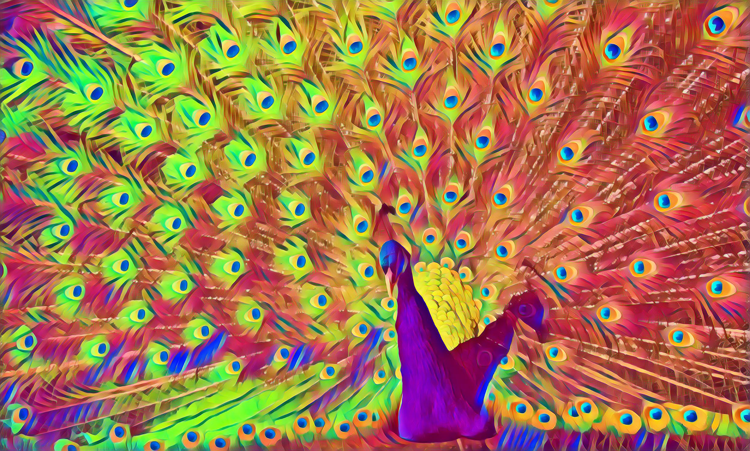 Placeholder Select Dynamic field