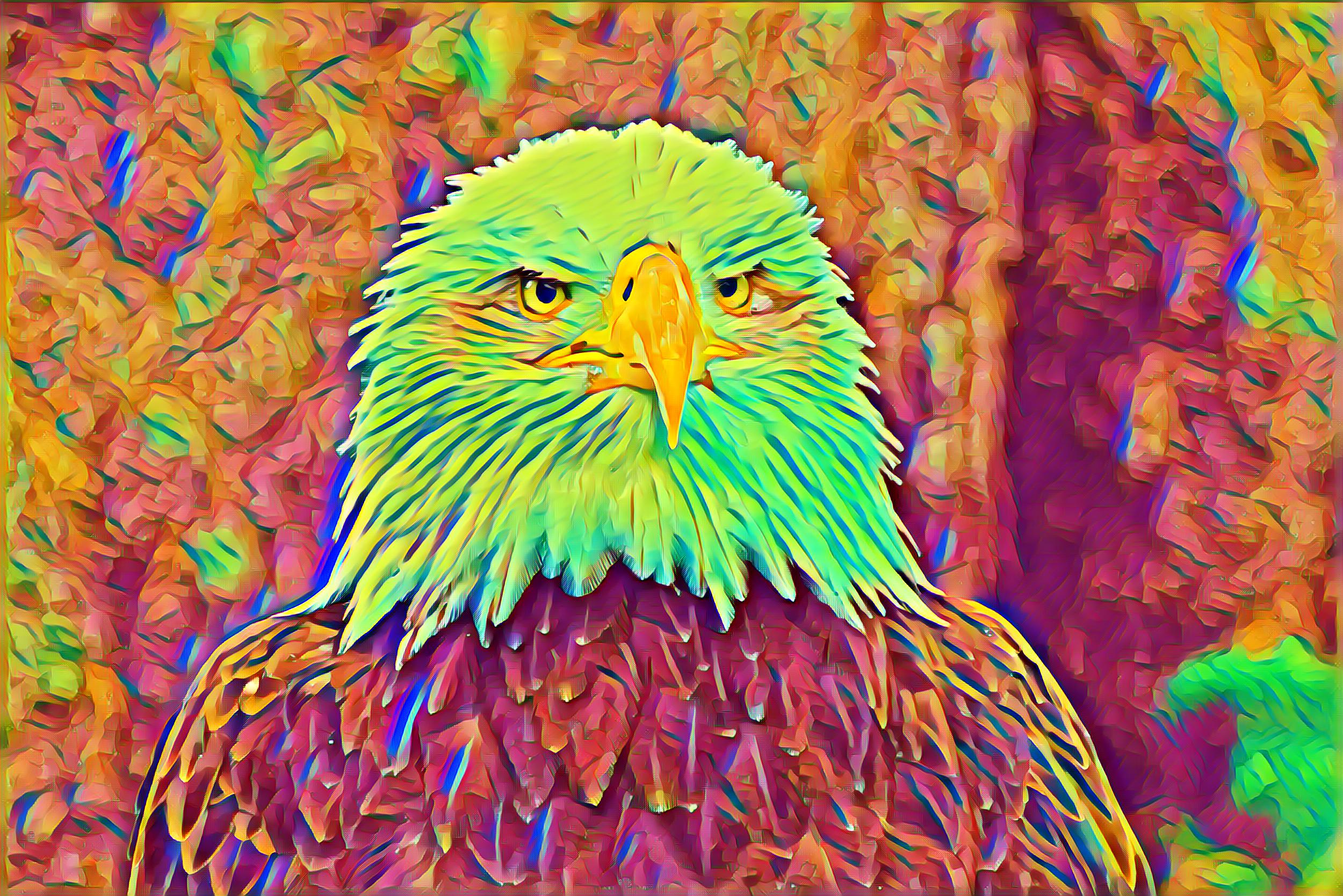 Select Dynamic field