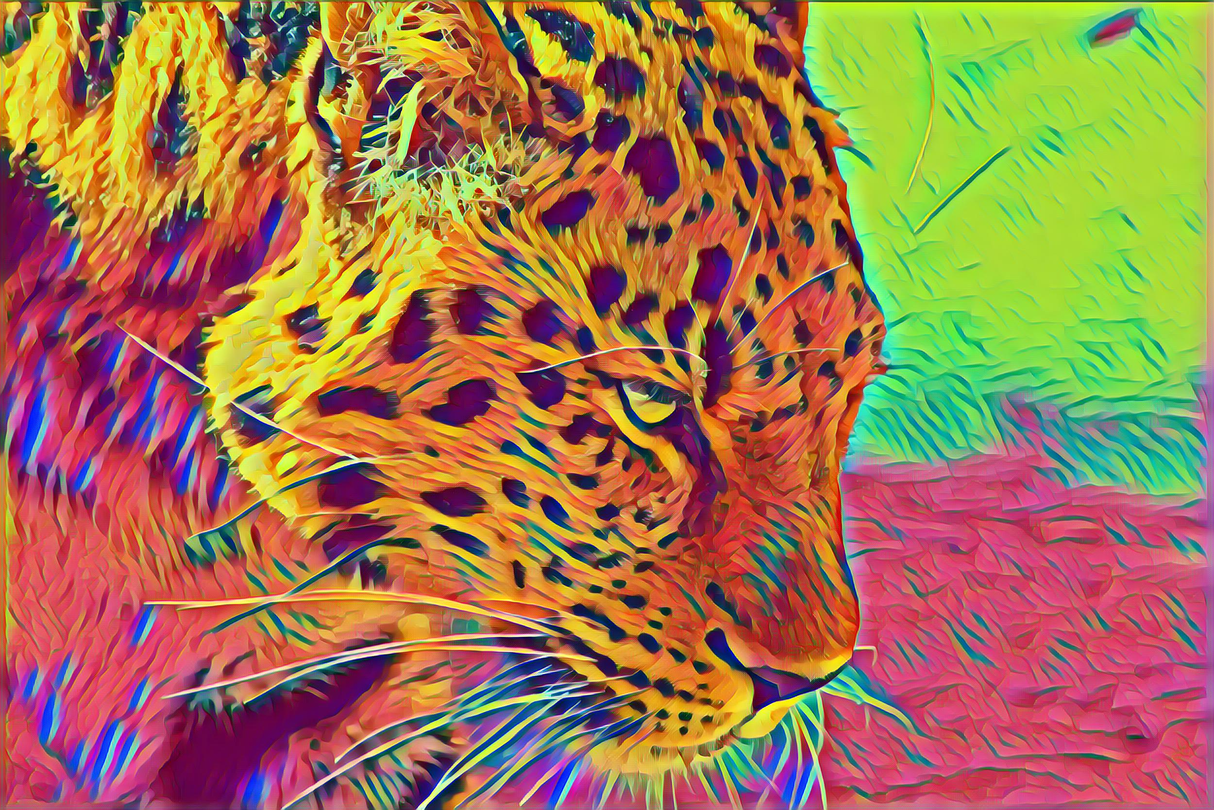 Select Dynamic field