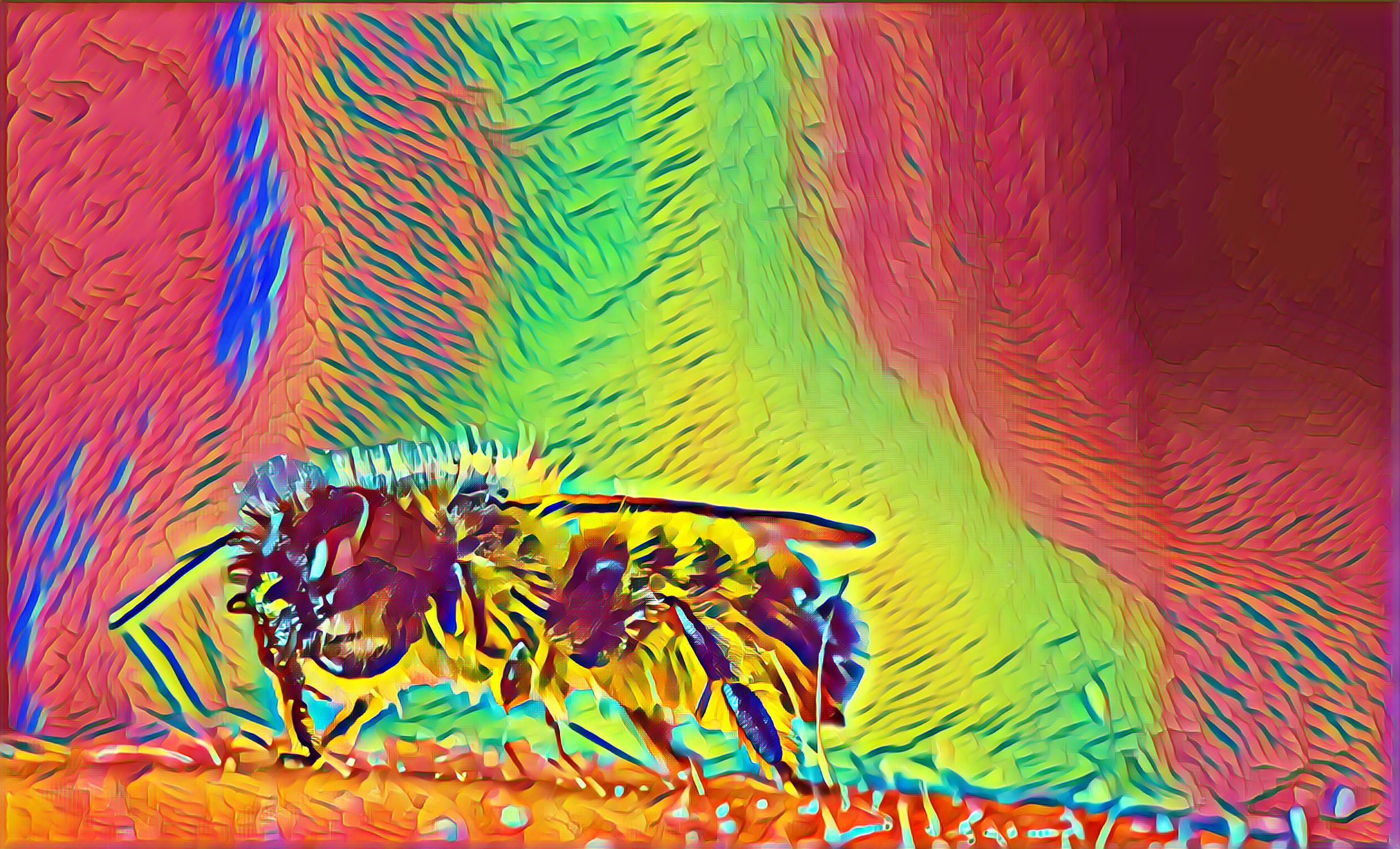 Placeholder Select Dynamic field